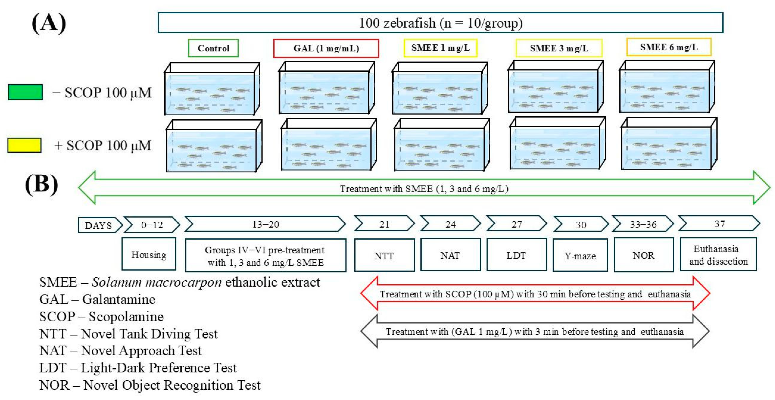 Pharmaceuticals 18 00706 g011 Pharmaceuticals 18 00706 g011