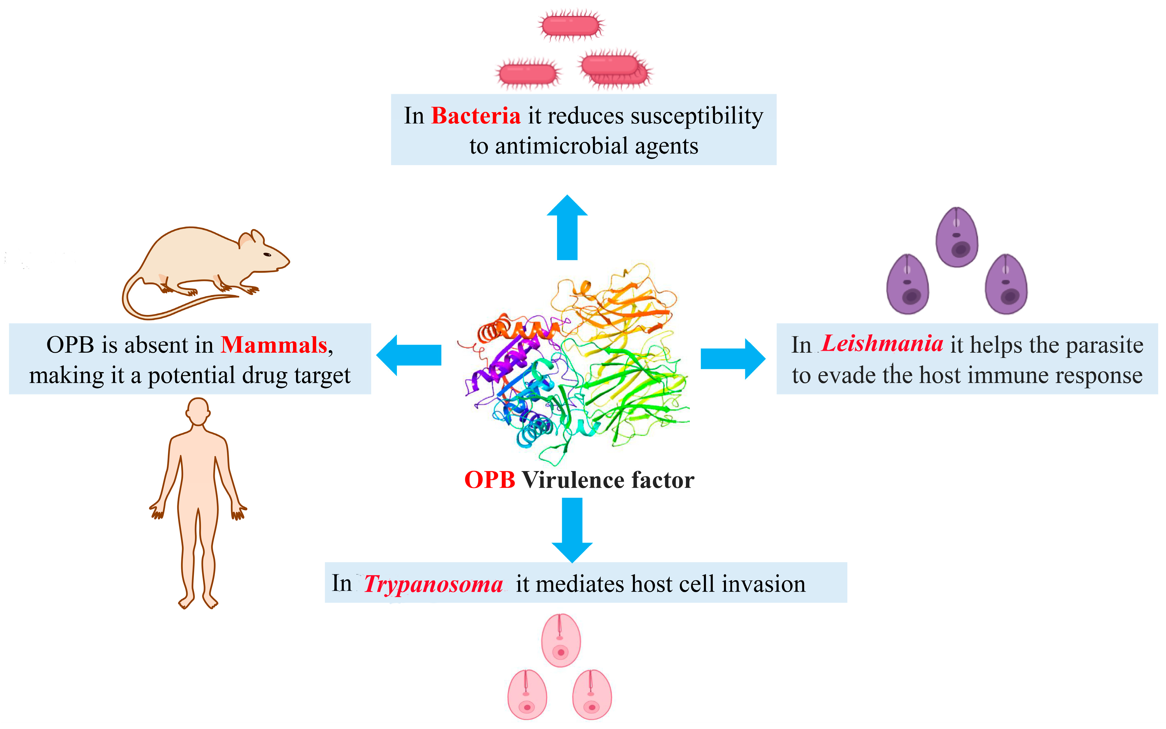 Pharmaceuticals 18 00709 g001