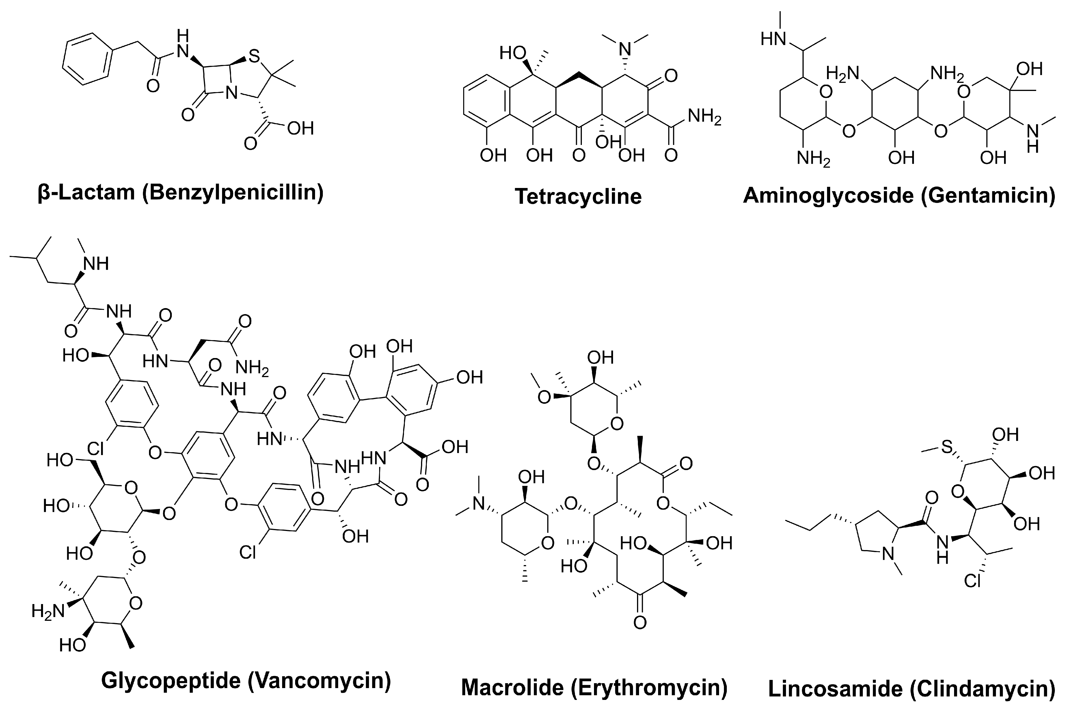 Pharmaceuticals 18 00709 g002