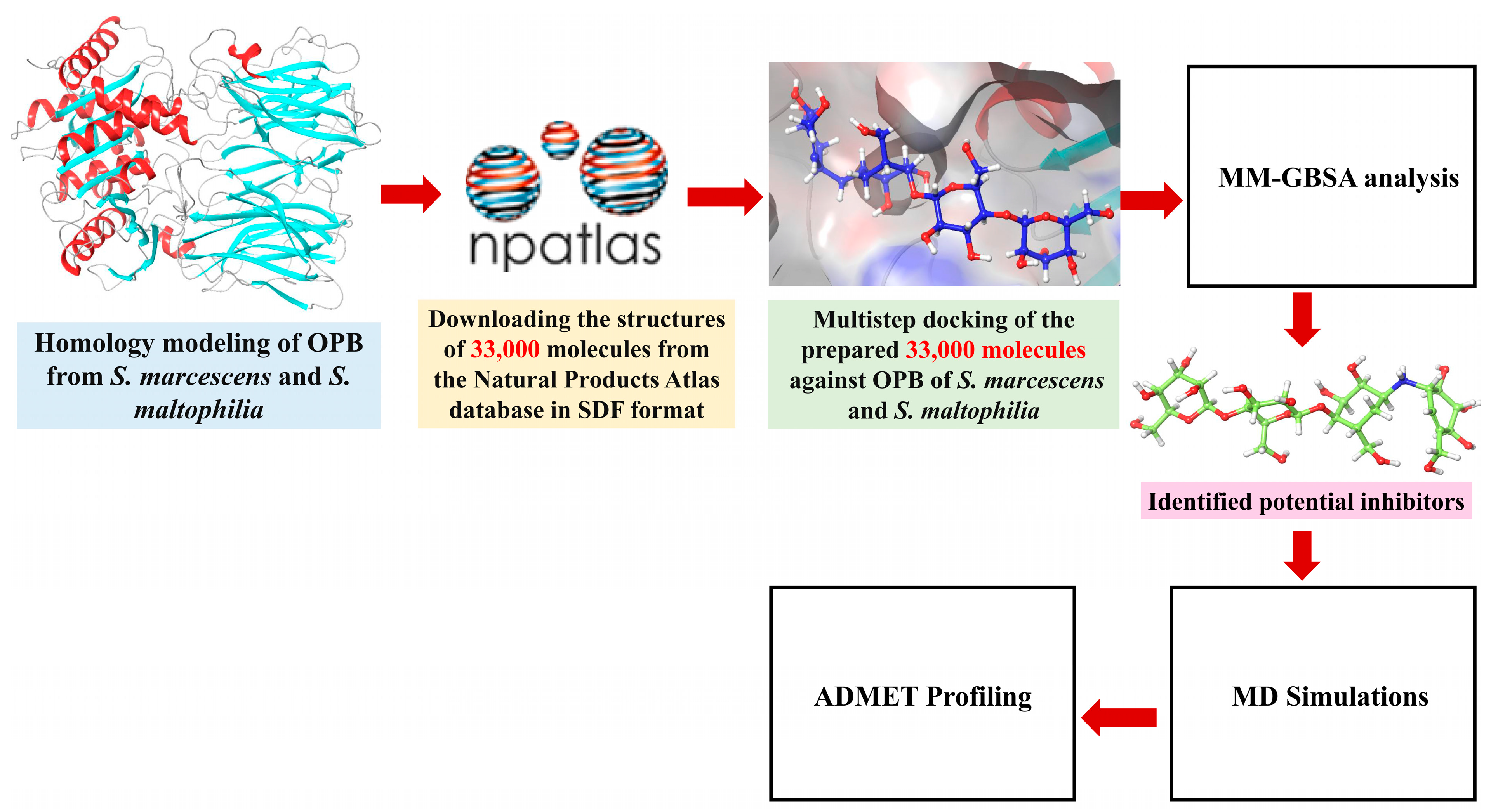 Pharmaceuticals 18 00709 g003