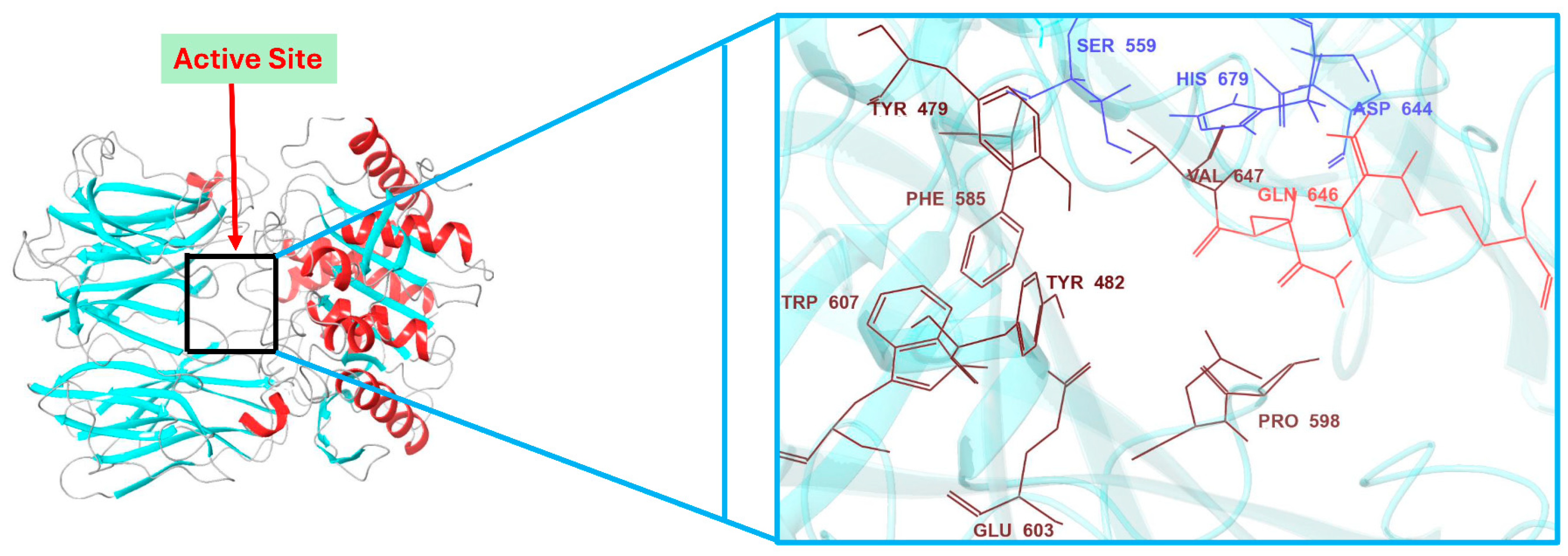 Pharmaceuticals 18 00709 g004
