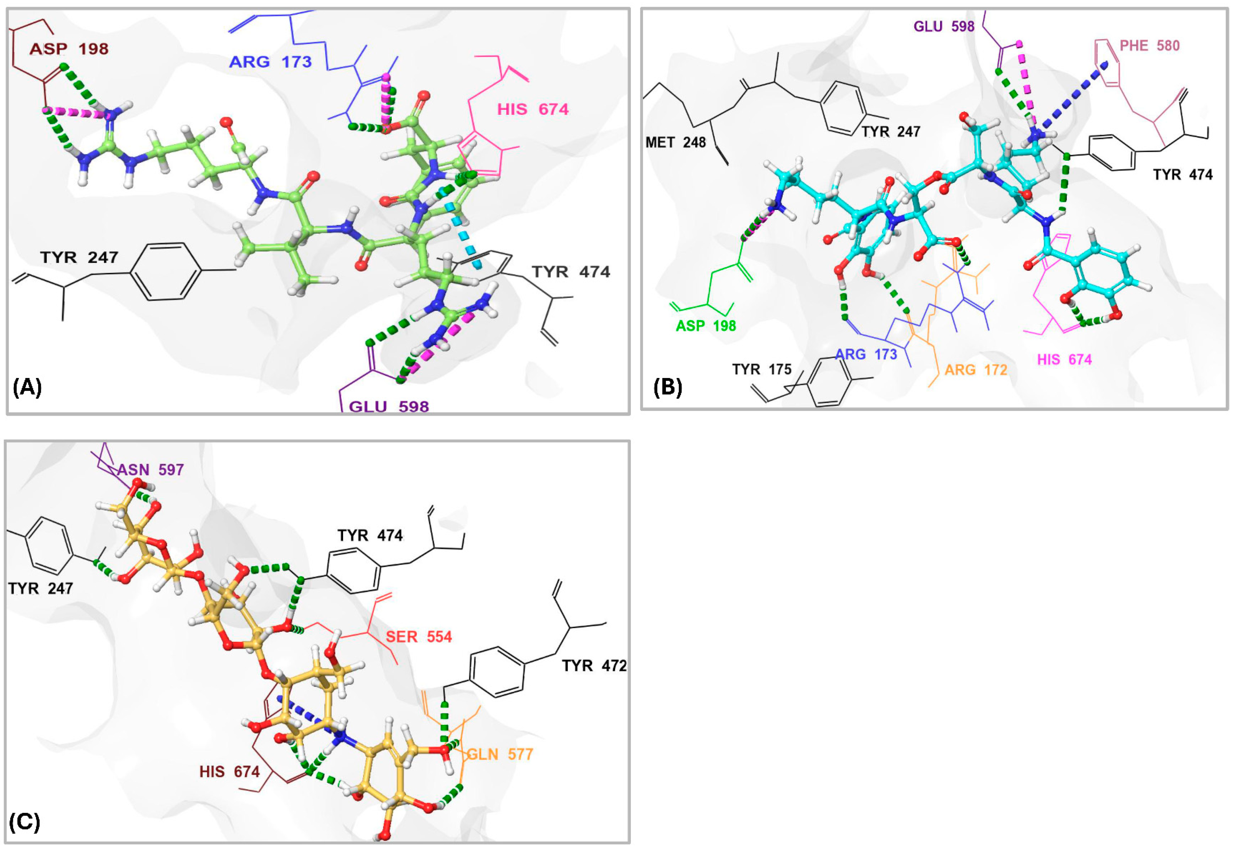Pharmaceuticals 18 00709 g007