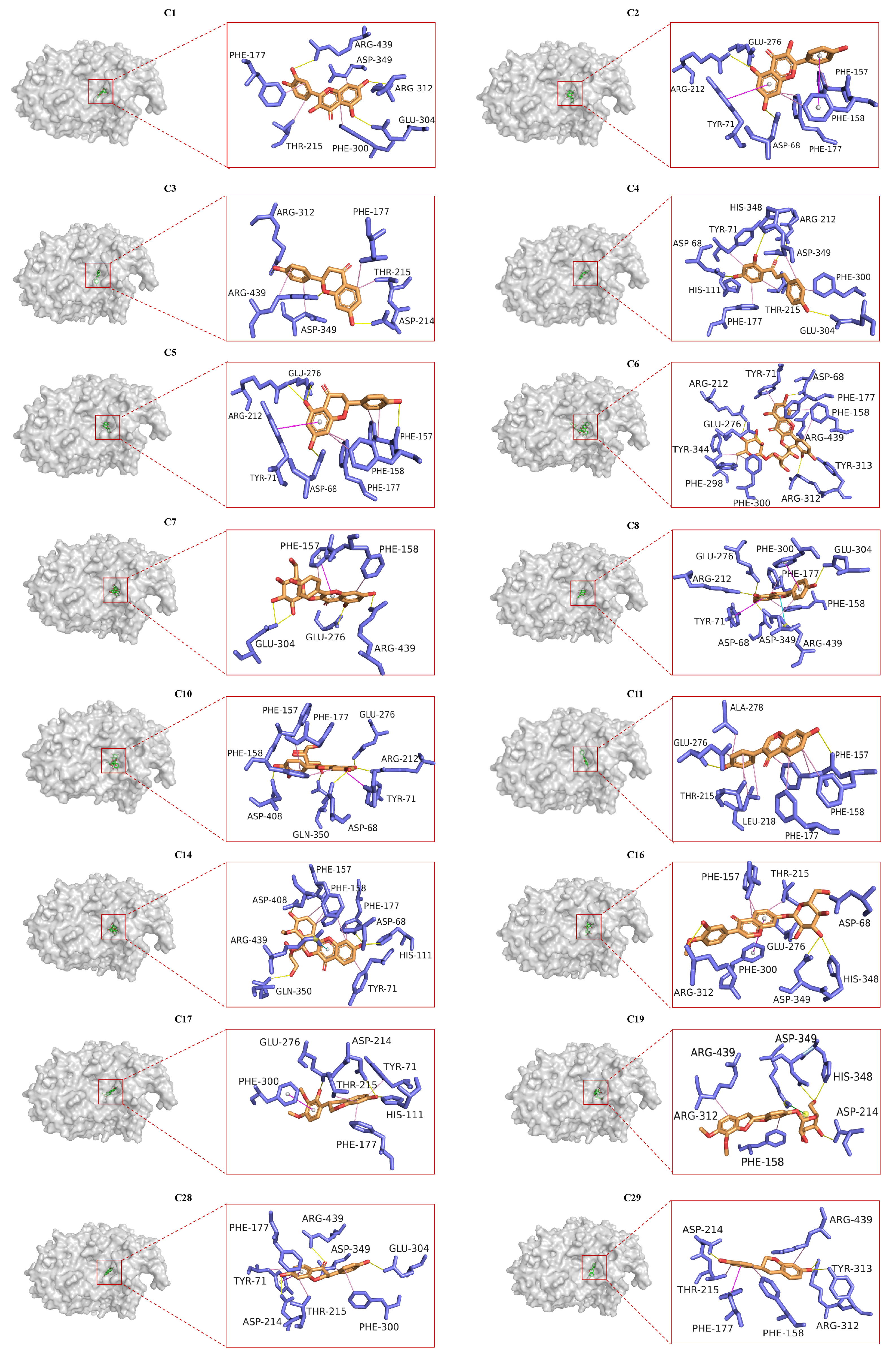 Pharmaceuticals 18 00744 g006
