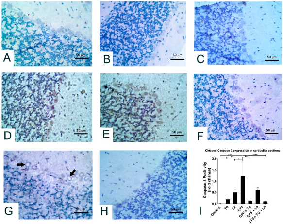 Pharmaceuticals 18 00745 i001