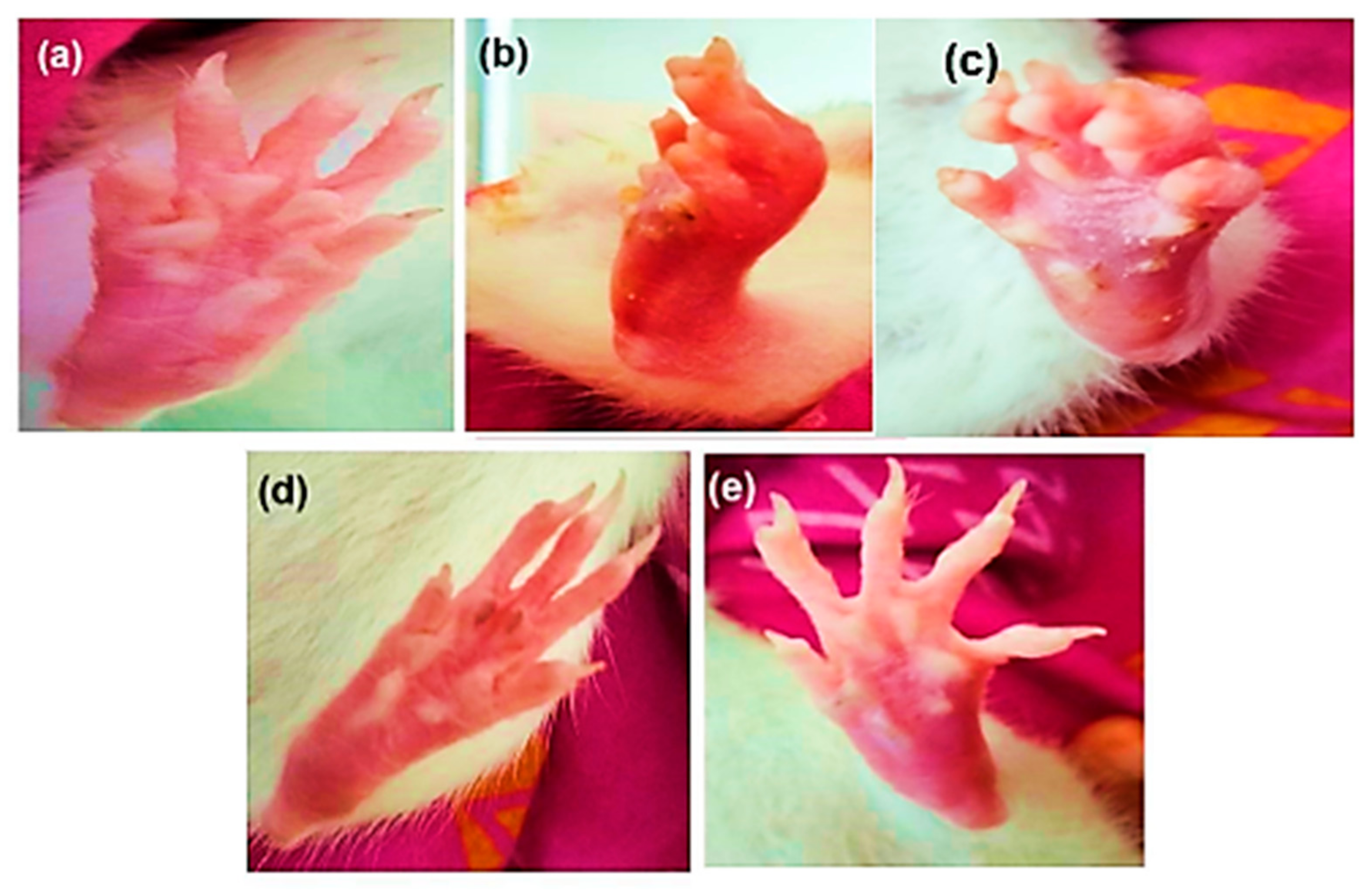 Pharmaceuticals 18 00762 g001