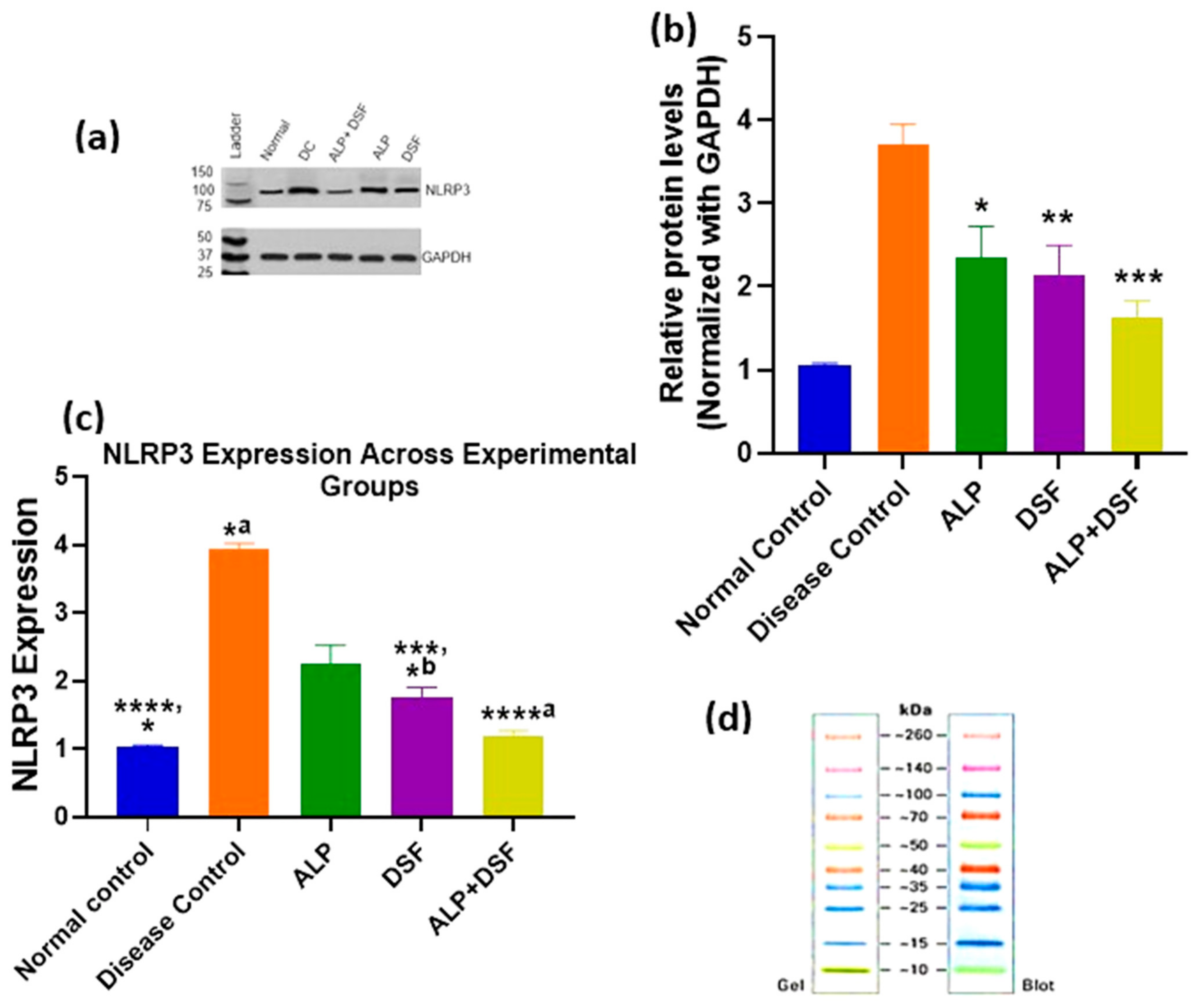 Pharmaceuticals 18 00762 g008