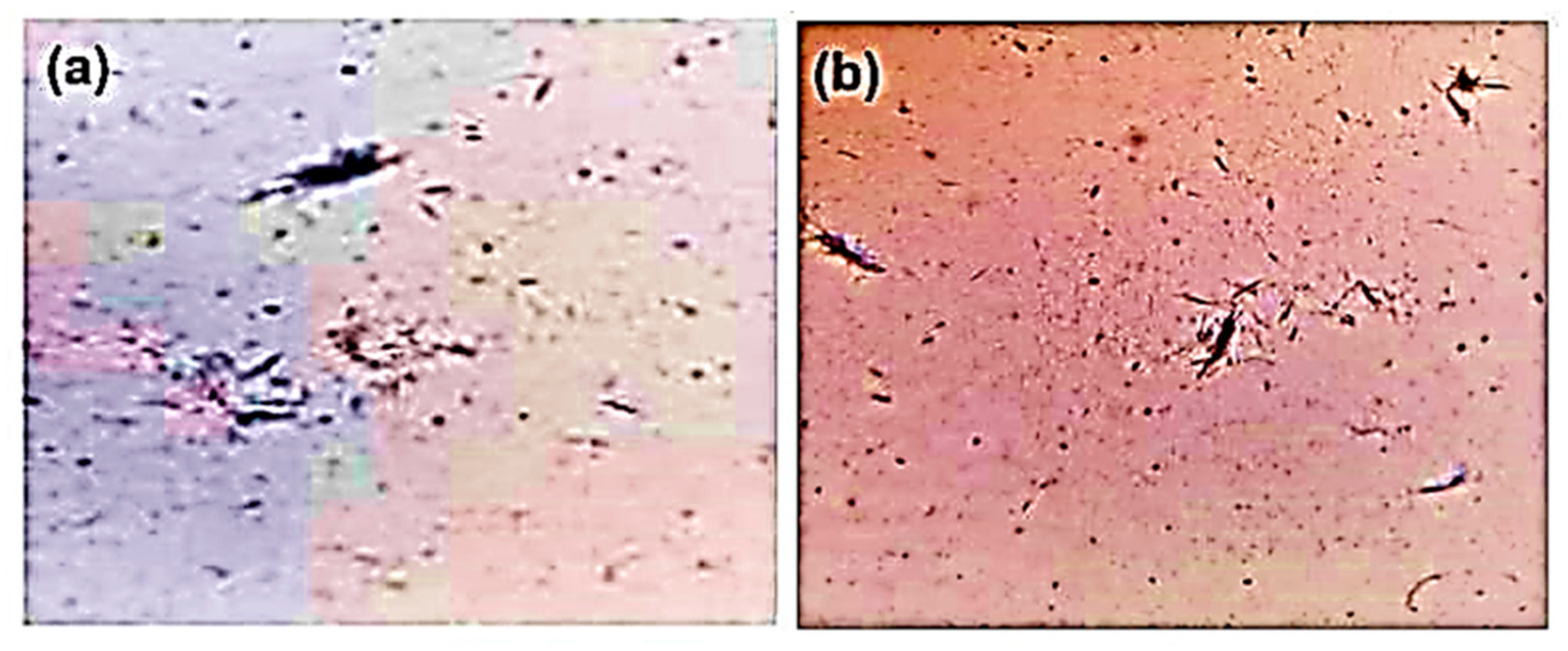 Pharmaceuticals 18 00762 g009