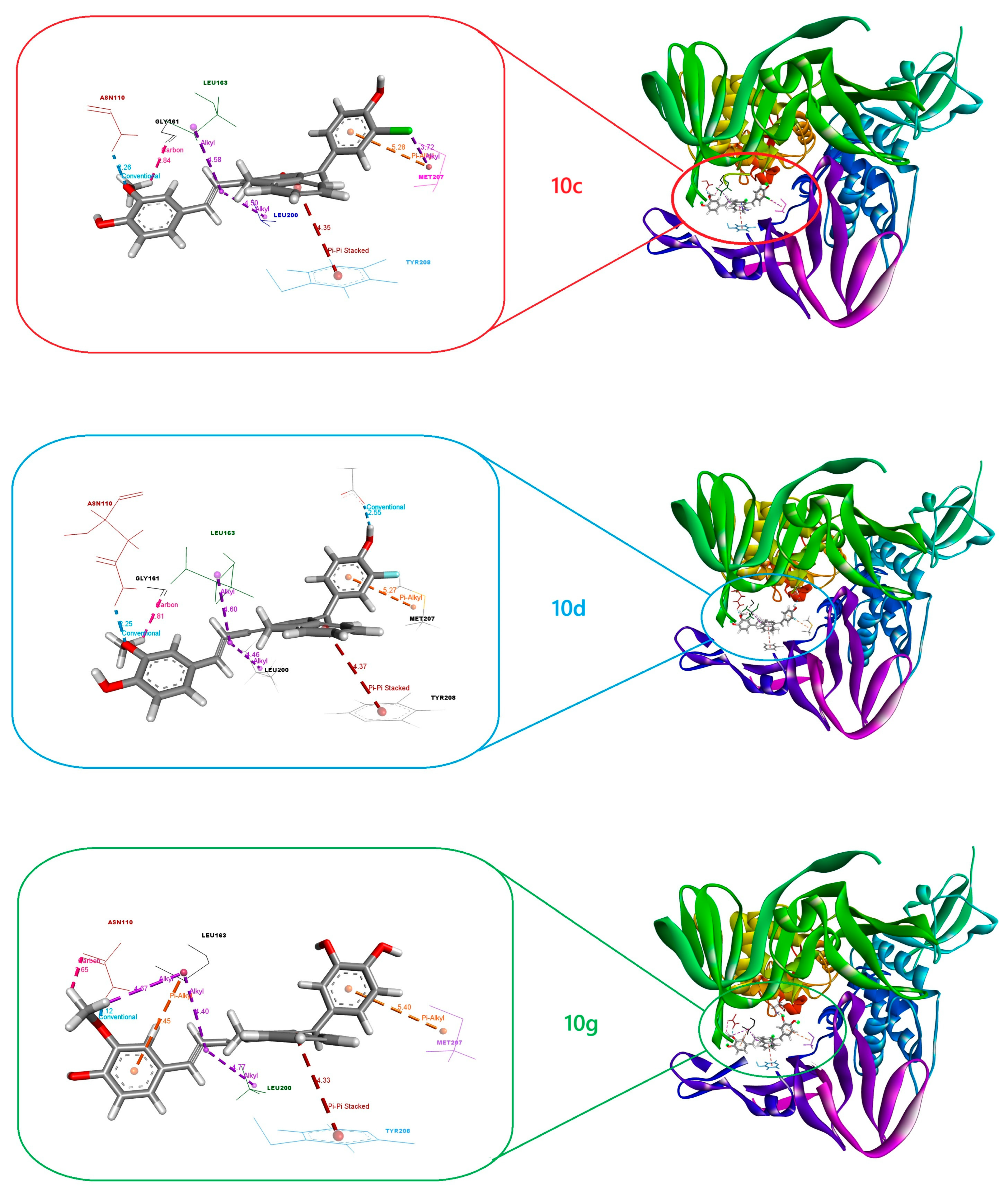 Pharmaceuticals 18 00798 g004