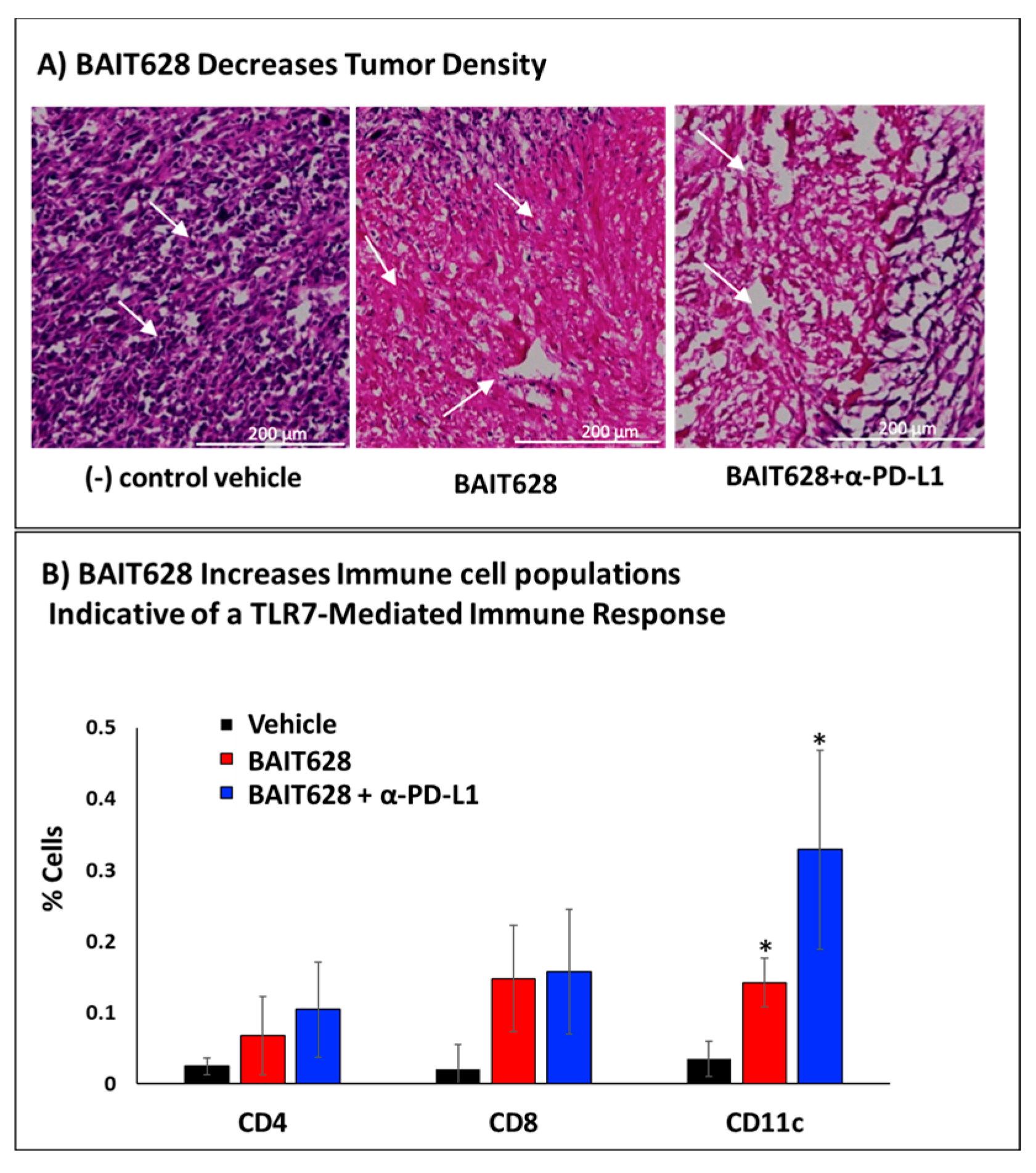 Pharmaceuticals 18 00804 g004