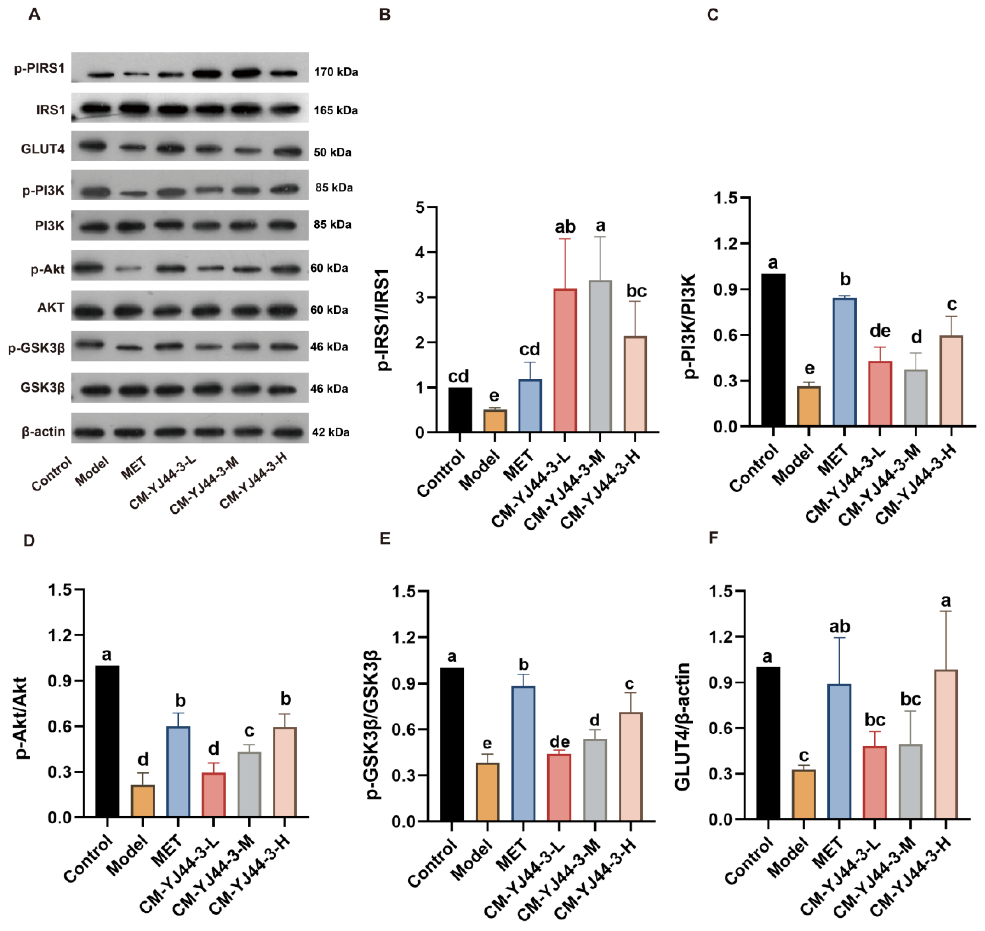 Pharmaceuticals 18 00817 g005