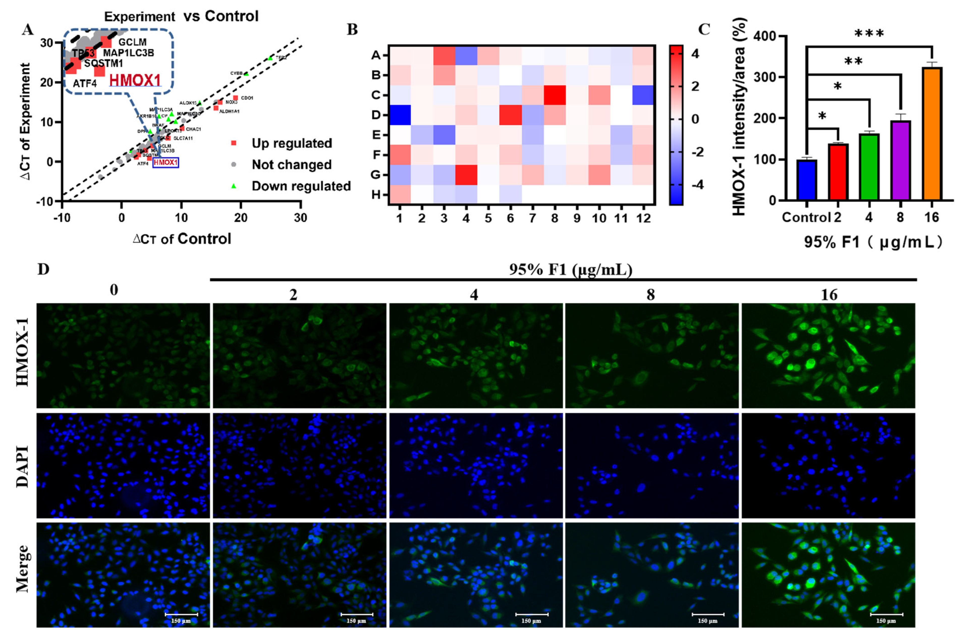 Pharmaceuticals 18 00824 g004