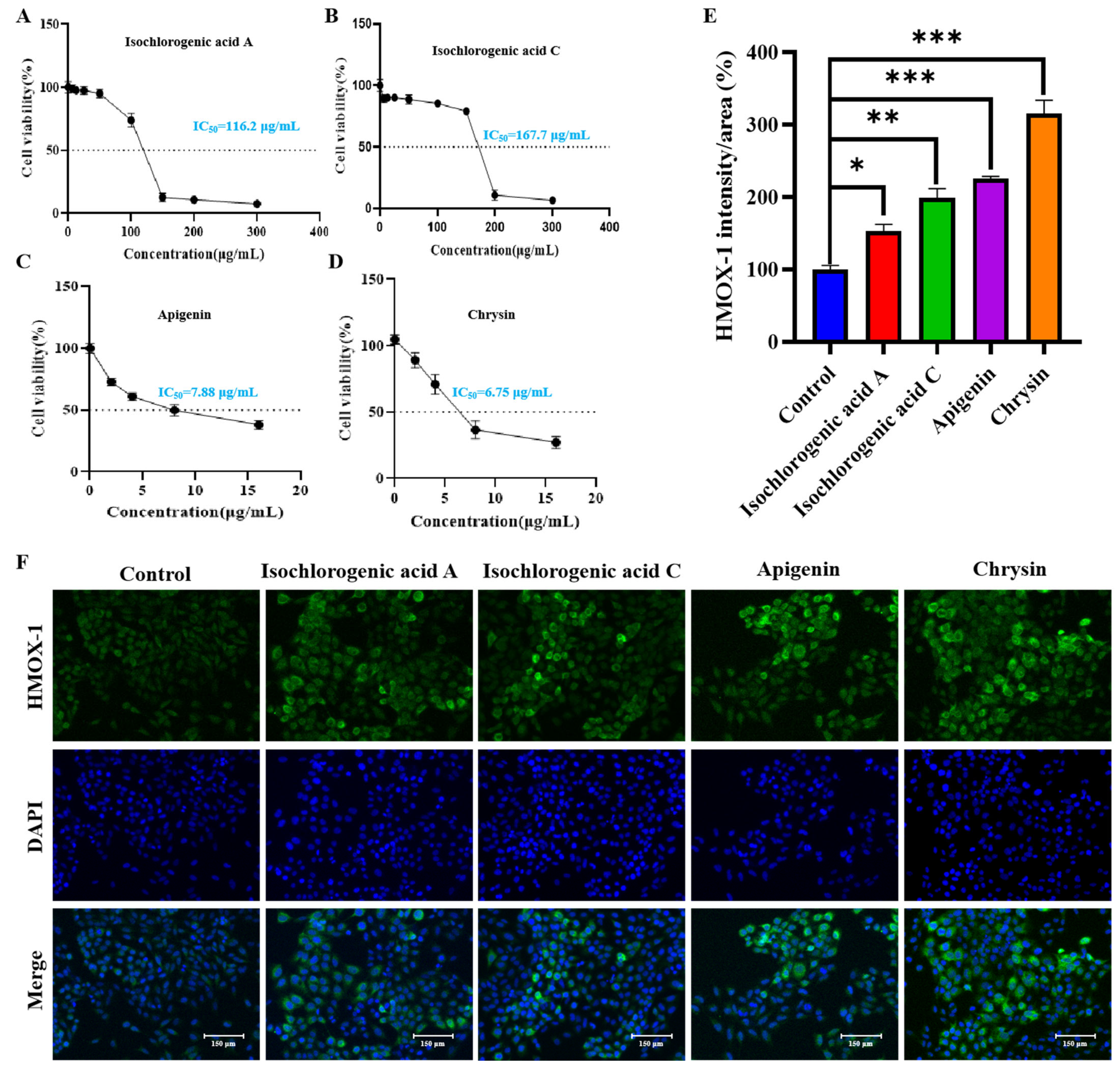 Pharmaceuticals 18 00824 g009
