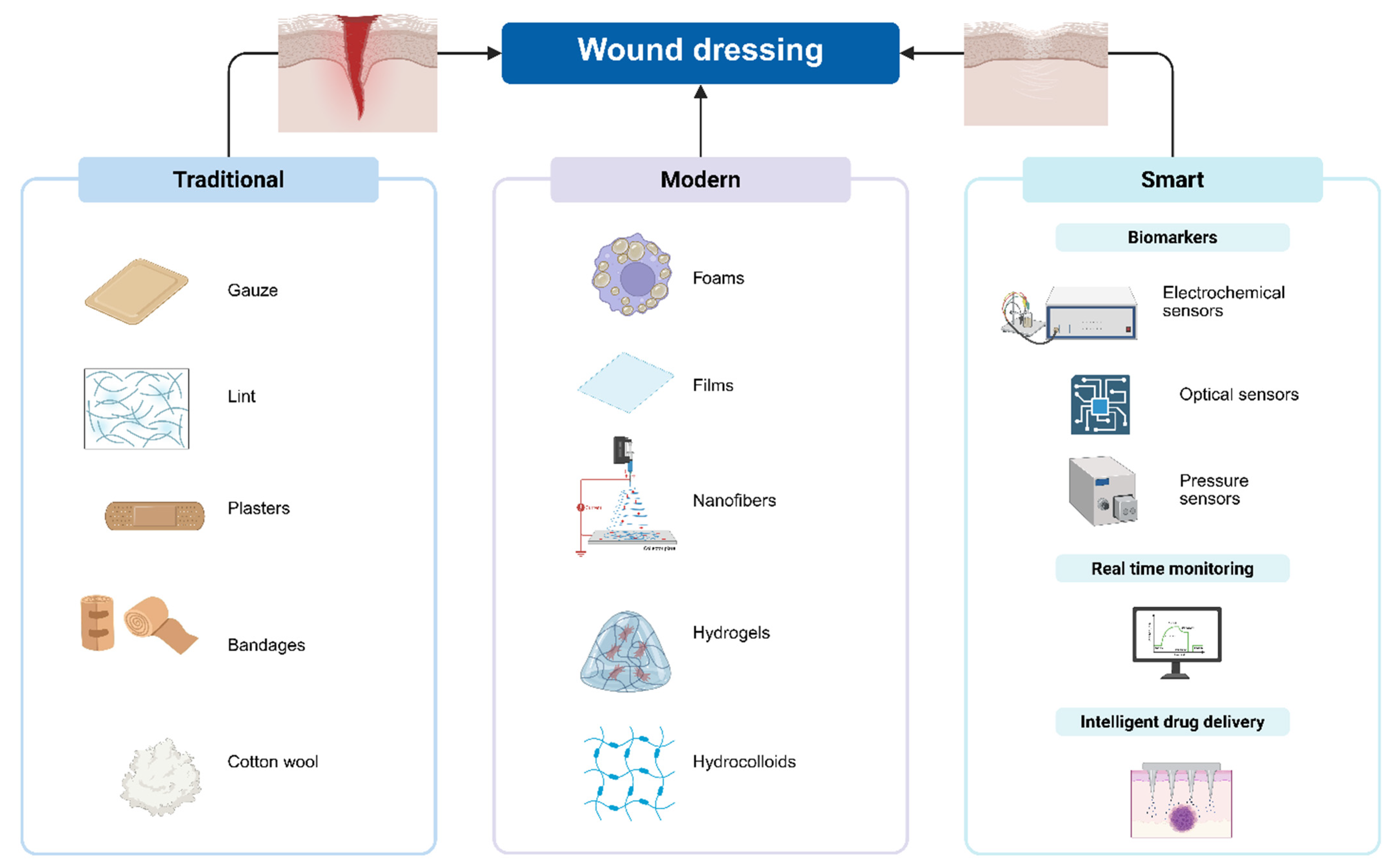 Pharmaceuticals 18 00825 g001