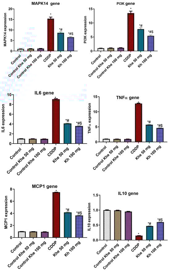 Pharmaceuticals 18 00836 g006