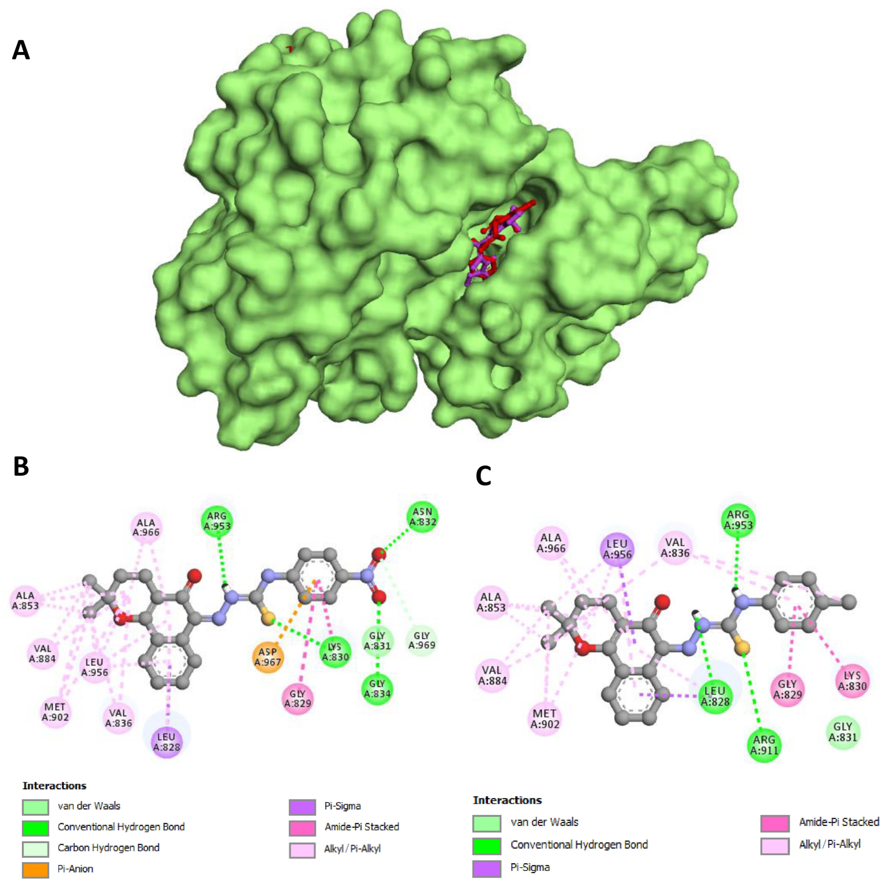 Pharmaceuticals 18 00837 g006