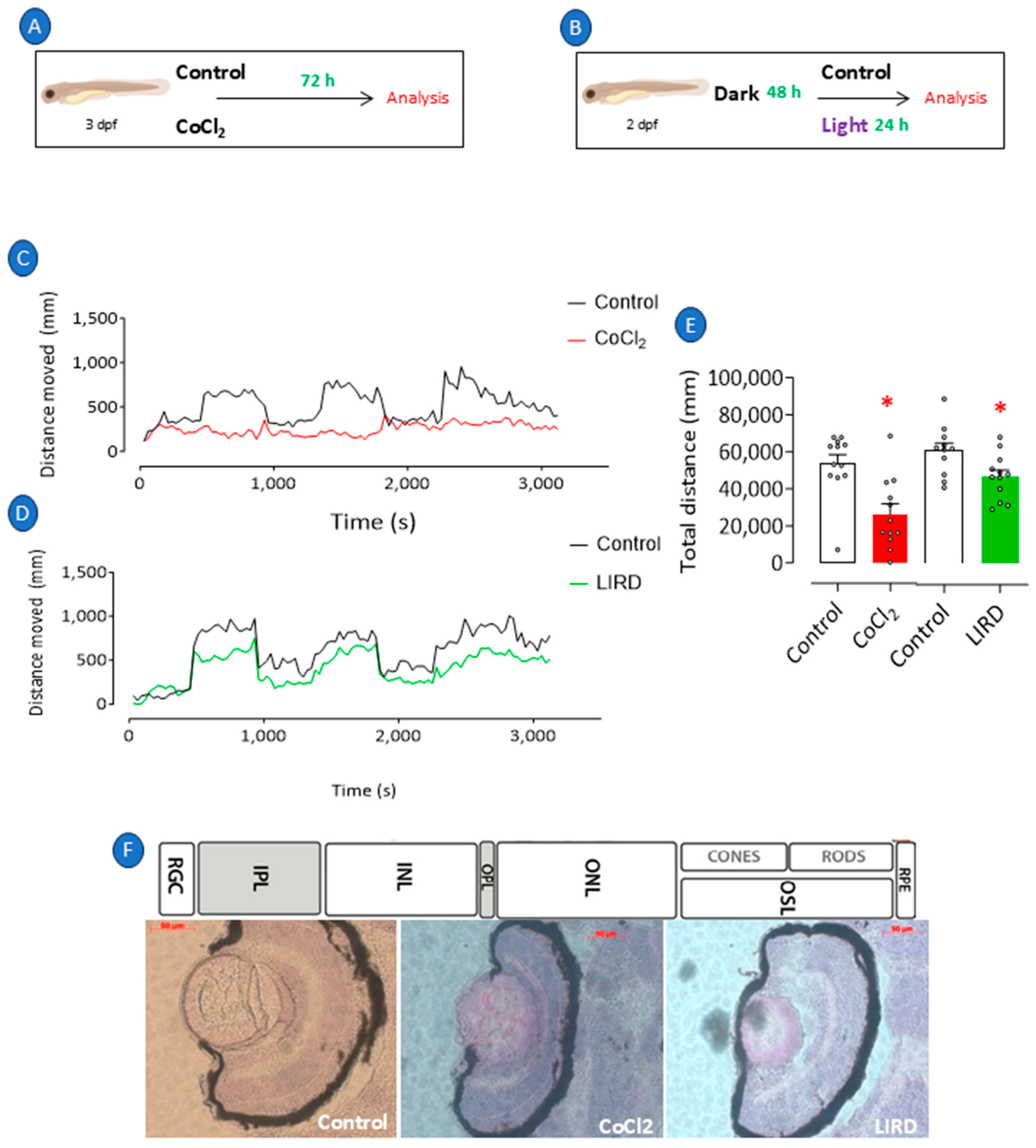 Pharmaceuticals 18 00840 g001