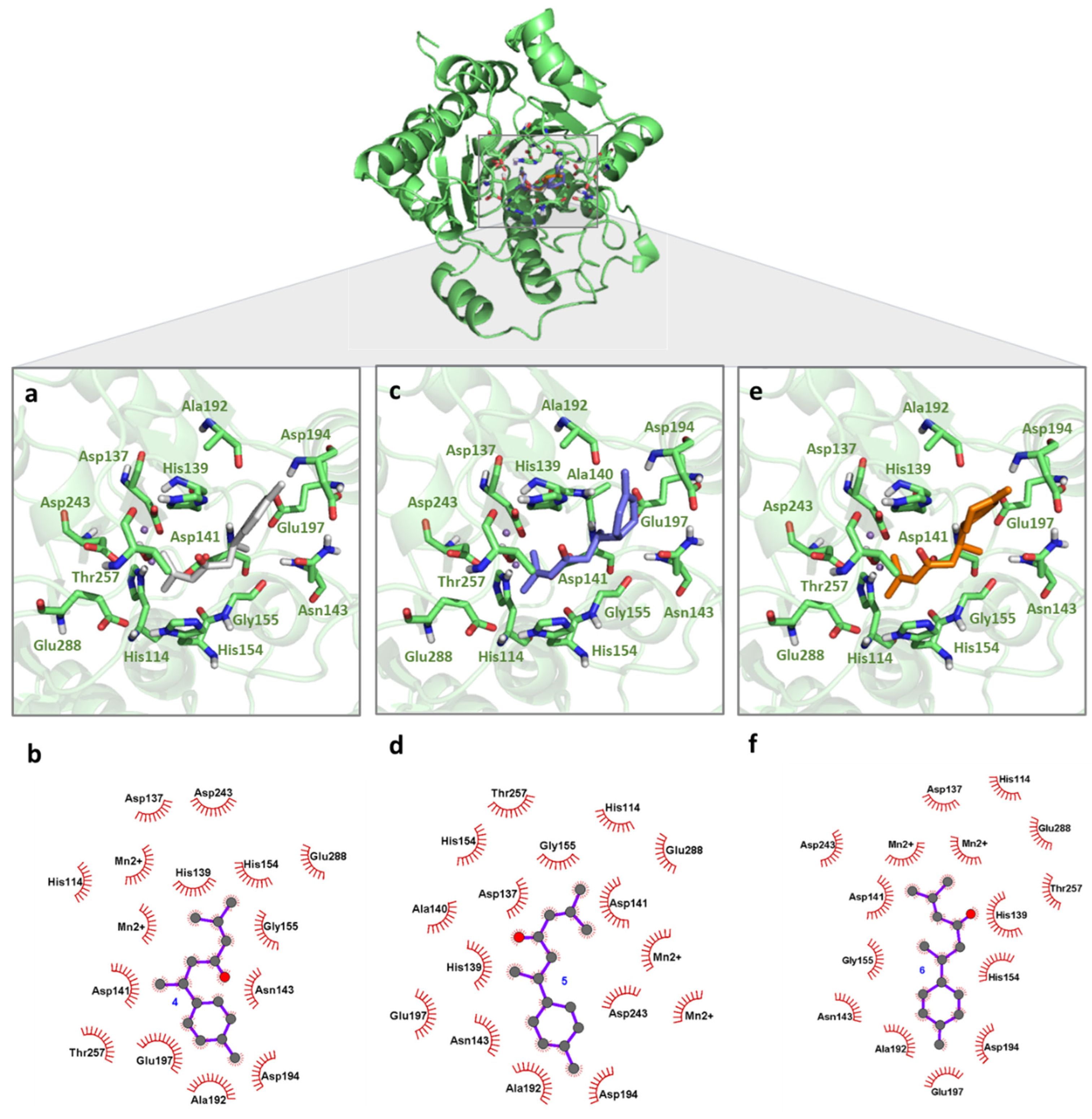 Pharmaceuticals 18 00851 g003
