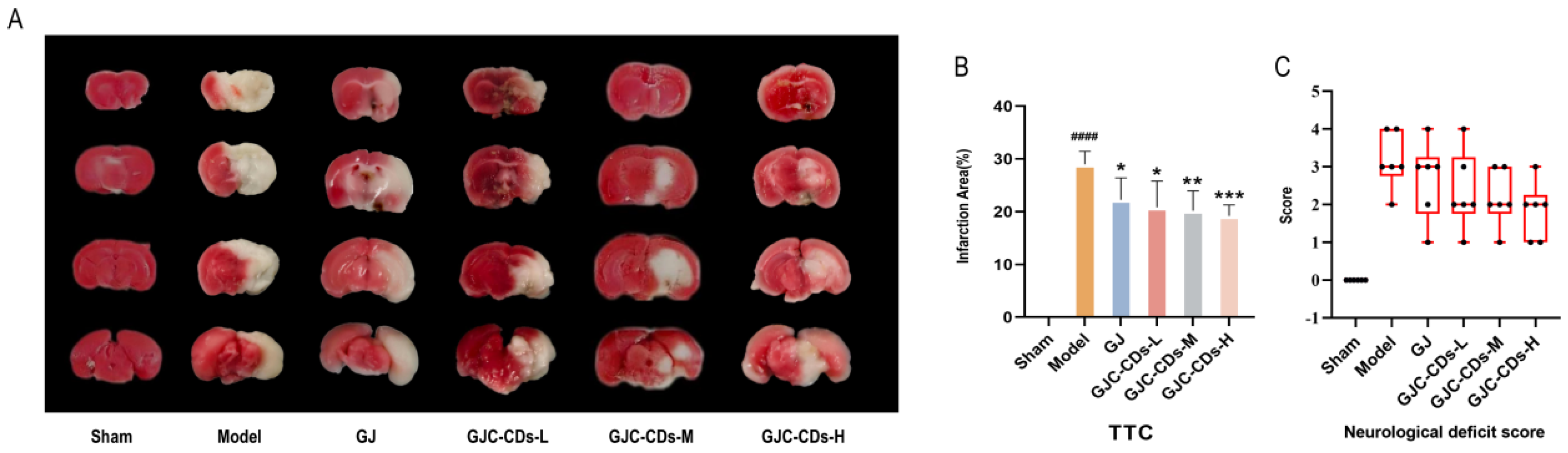 Pharmaceuticals 18 00870 g003