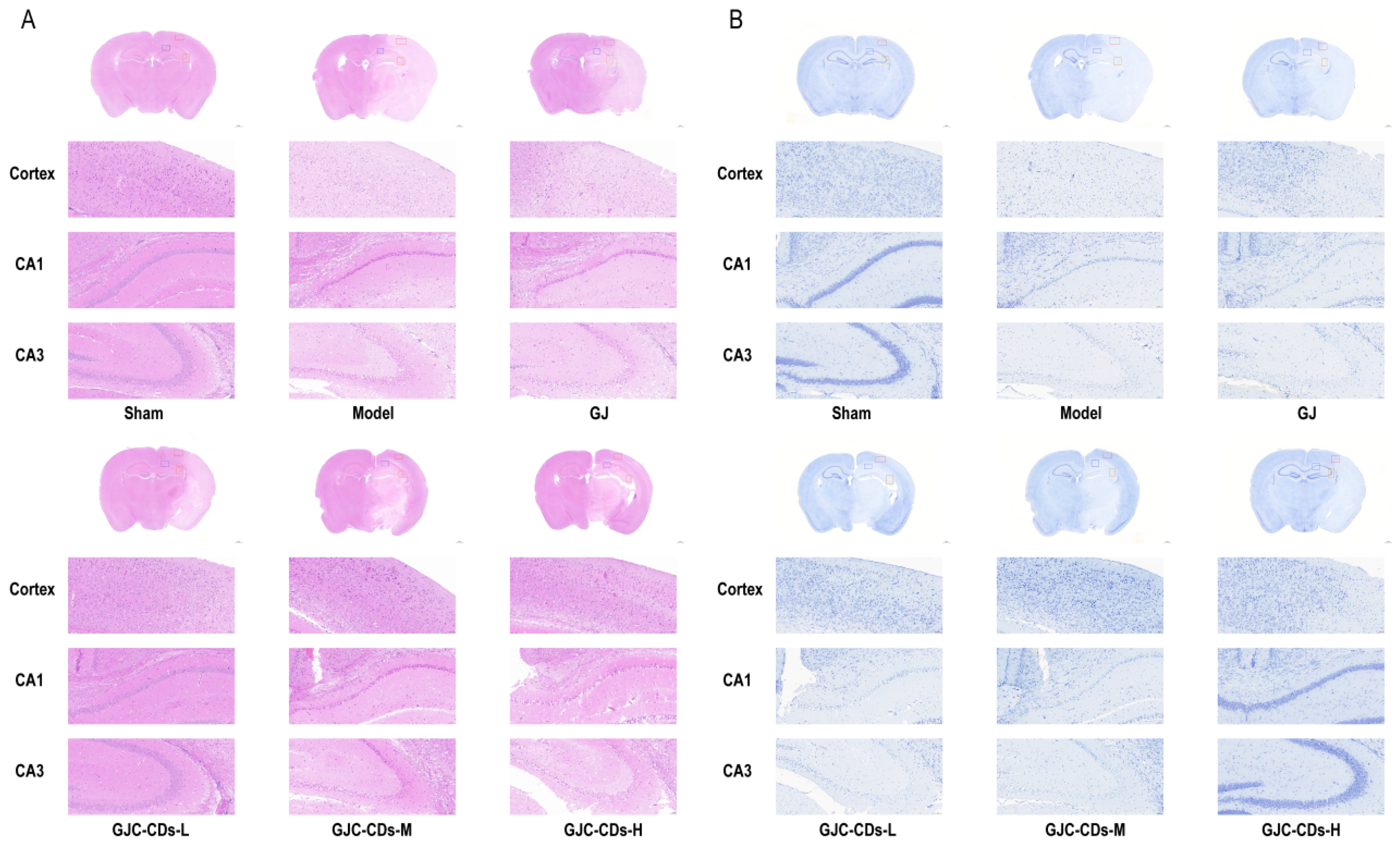 Pharmaceuticals 18 00870 g005