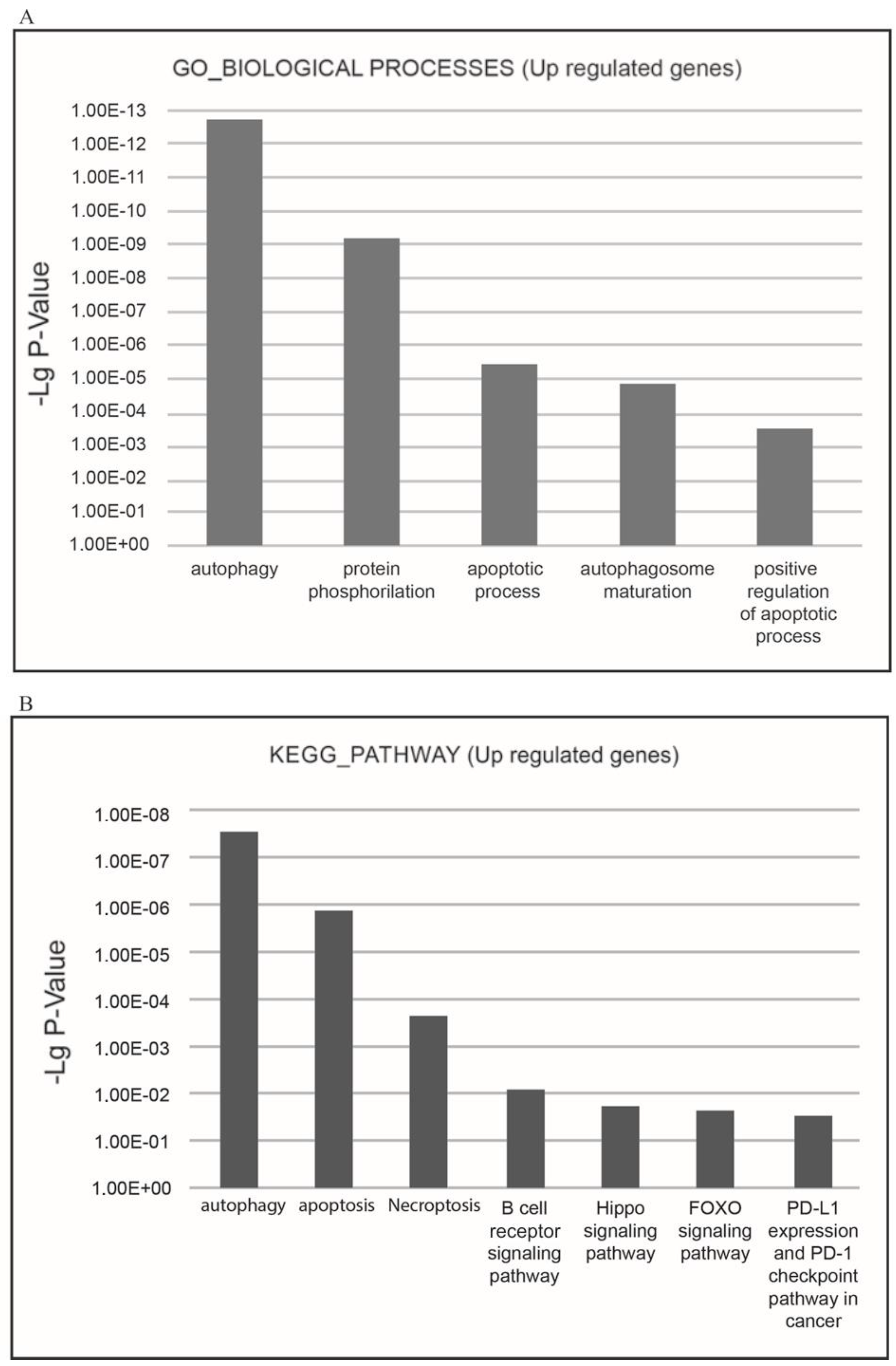 Pharmaceuticals 18 00874 g005