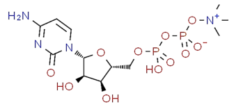 Pharmaceuticals 18 00883 i002
