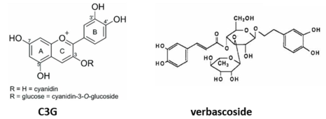 Pharmaceuticals 18 00883 i004