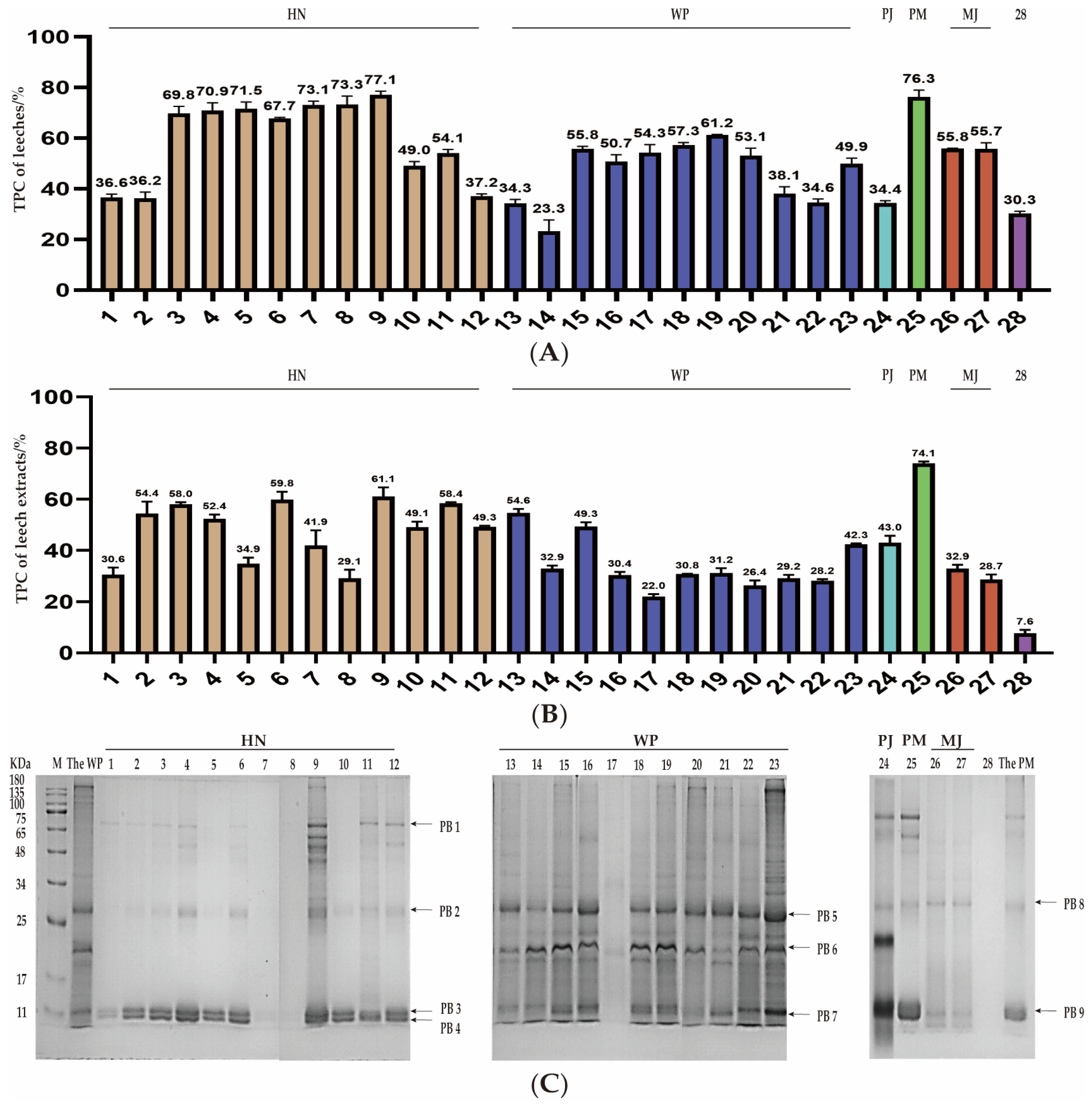 Pharmaceuticals 18 00887 g004