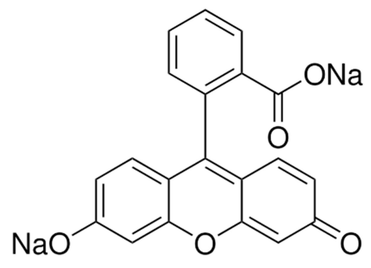 Pharmaceuticals 18 00889 g005 Pharmaceuticals 18 00889 g005