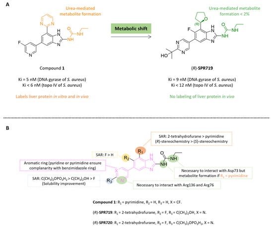 Pharmaceuticals 18 00891 g012