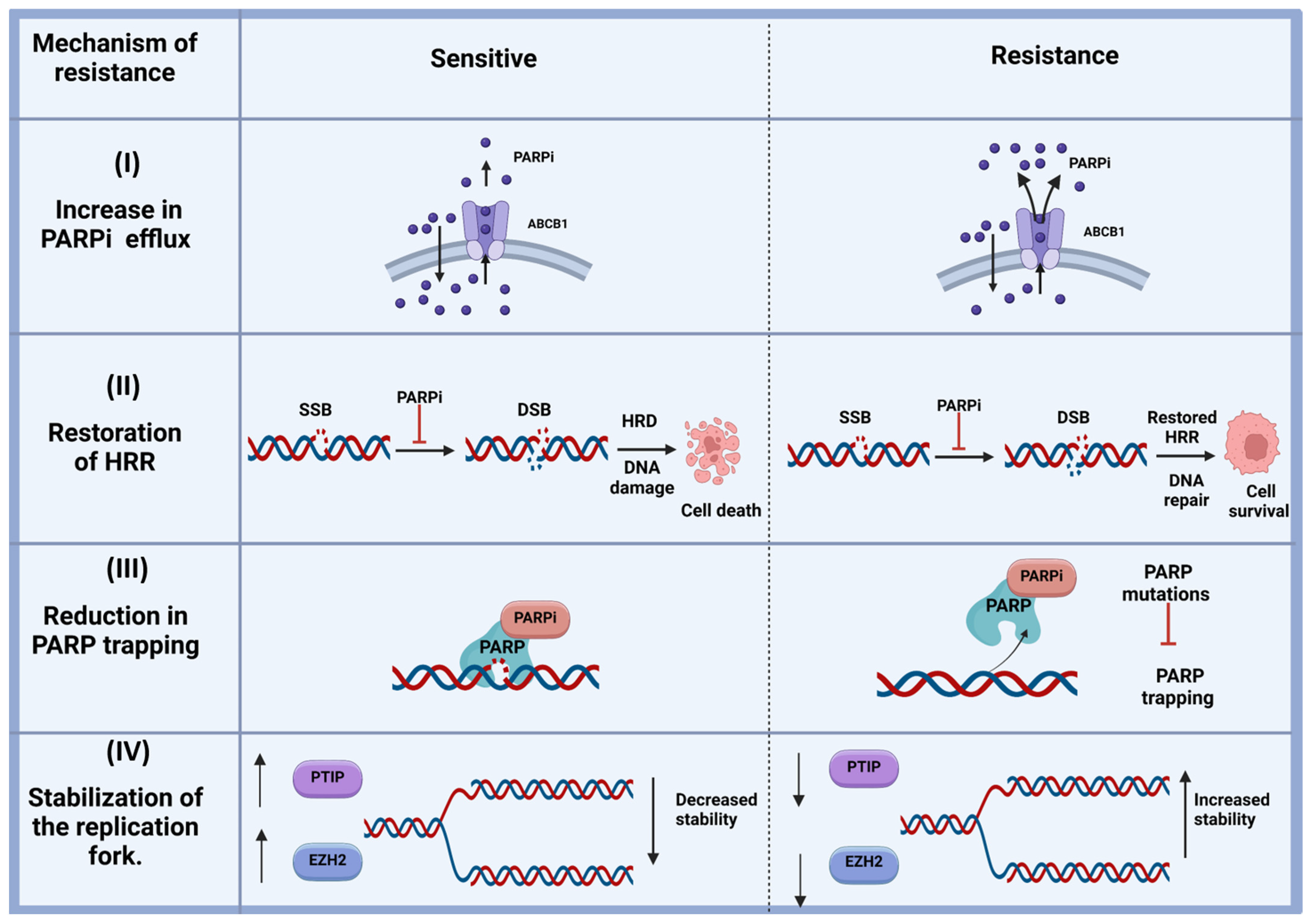Pharmaceuticals 18 00895 g003