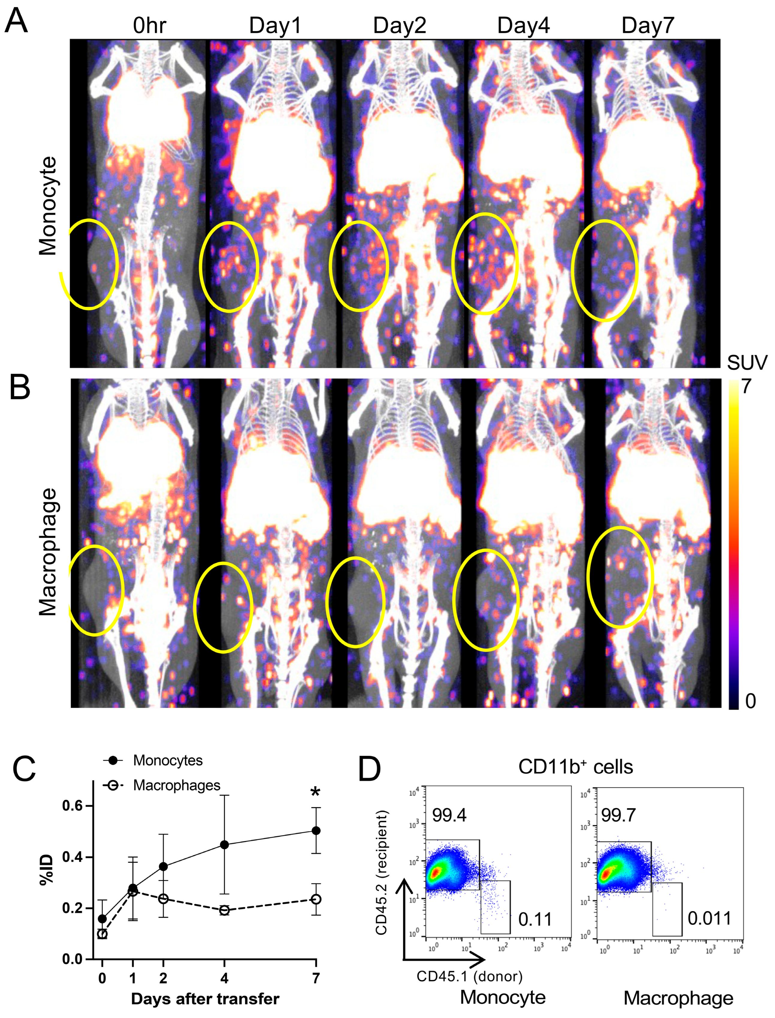 Pharmaceuticals 18 00897 g004