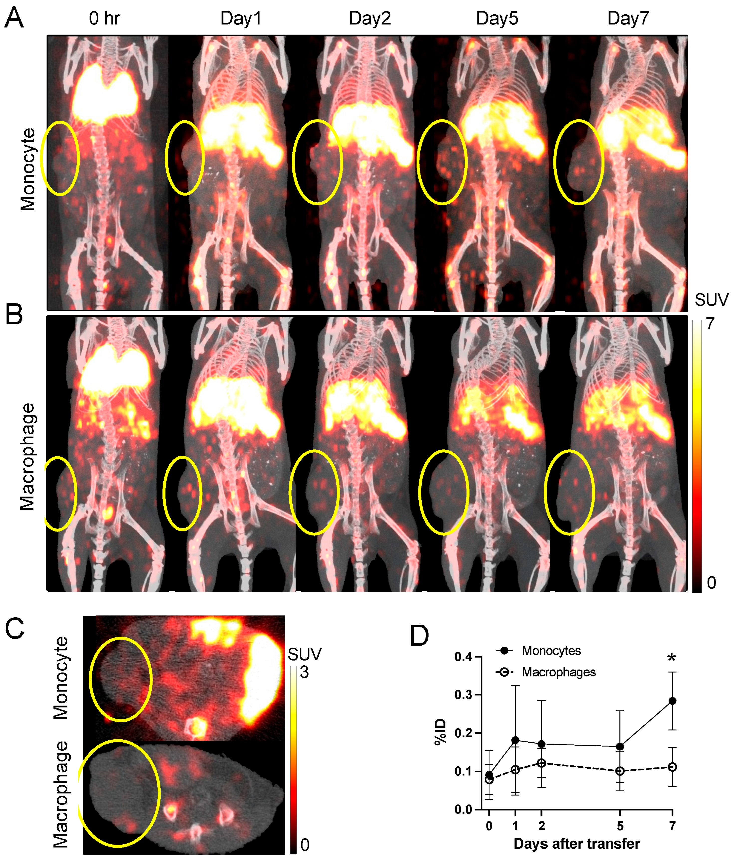 Pharmaceuticals 18 00897 g005