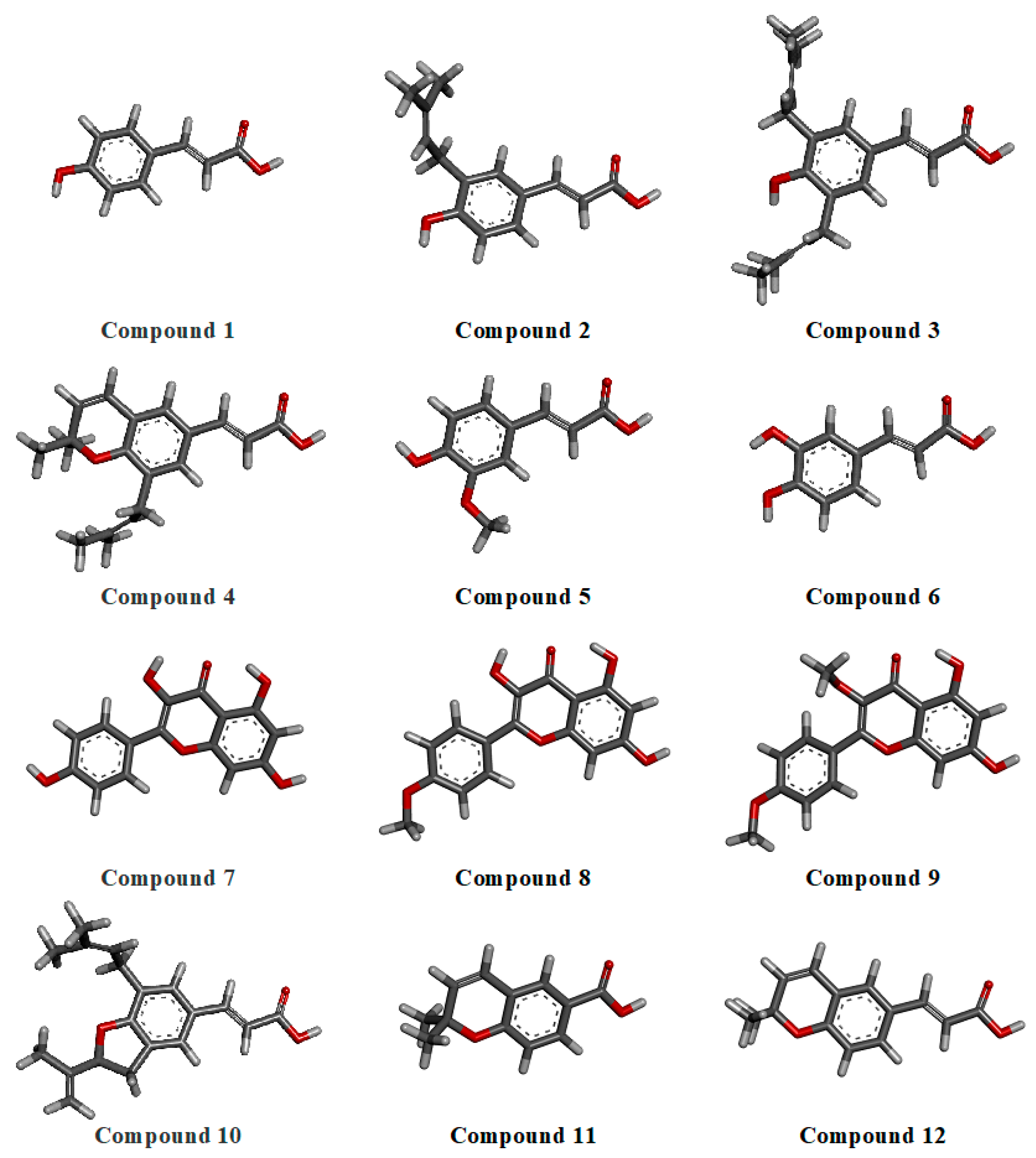 Pharmaceuticals 18 00902 g001 Pharmaceuticals 18 00902 g001