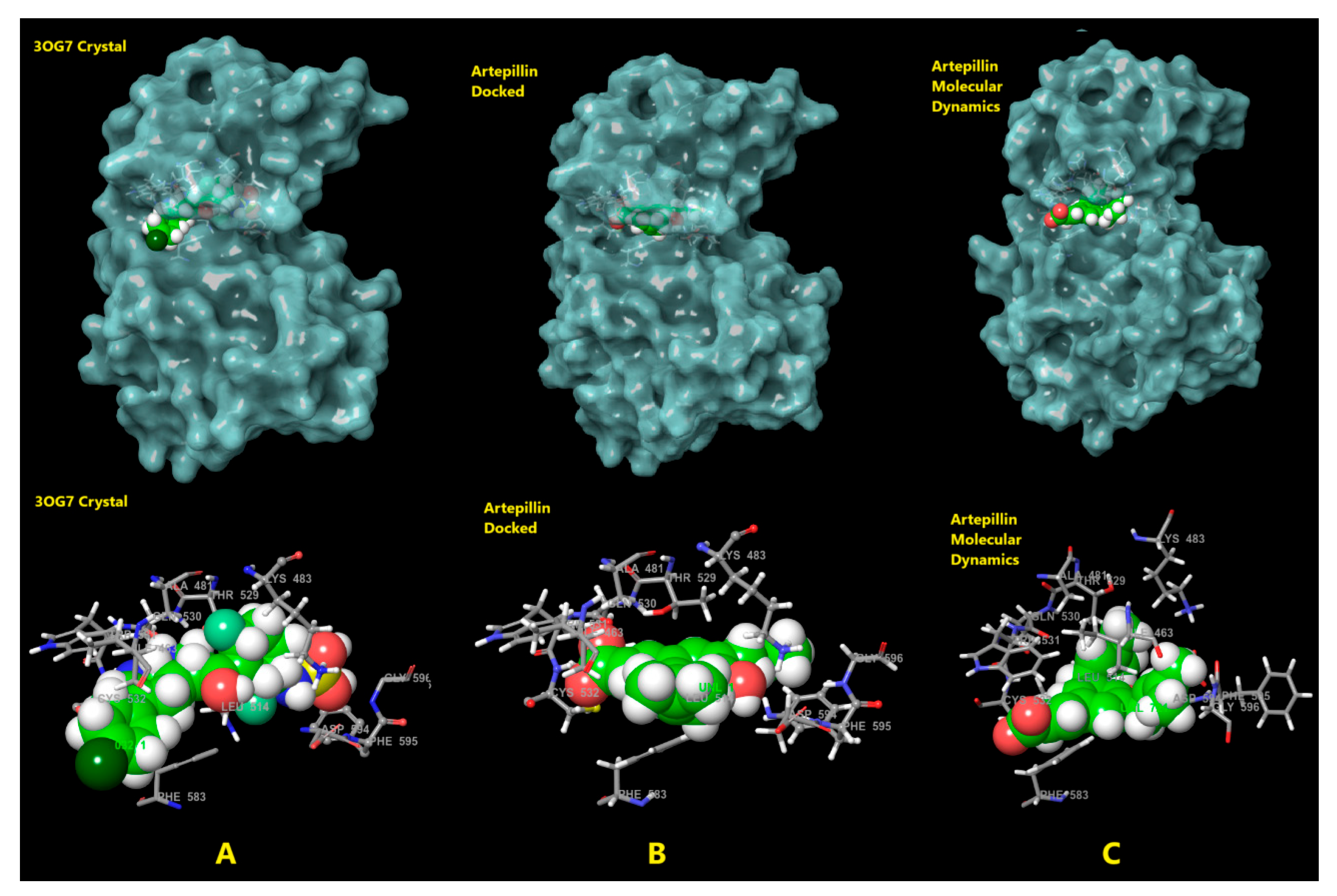 Pharmaceuticals 18 00902 g006 Pharmaceuticals 18 00902 g006
