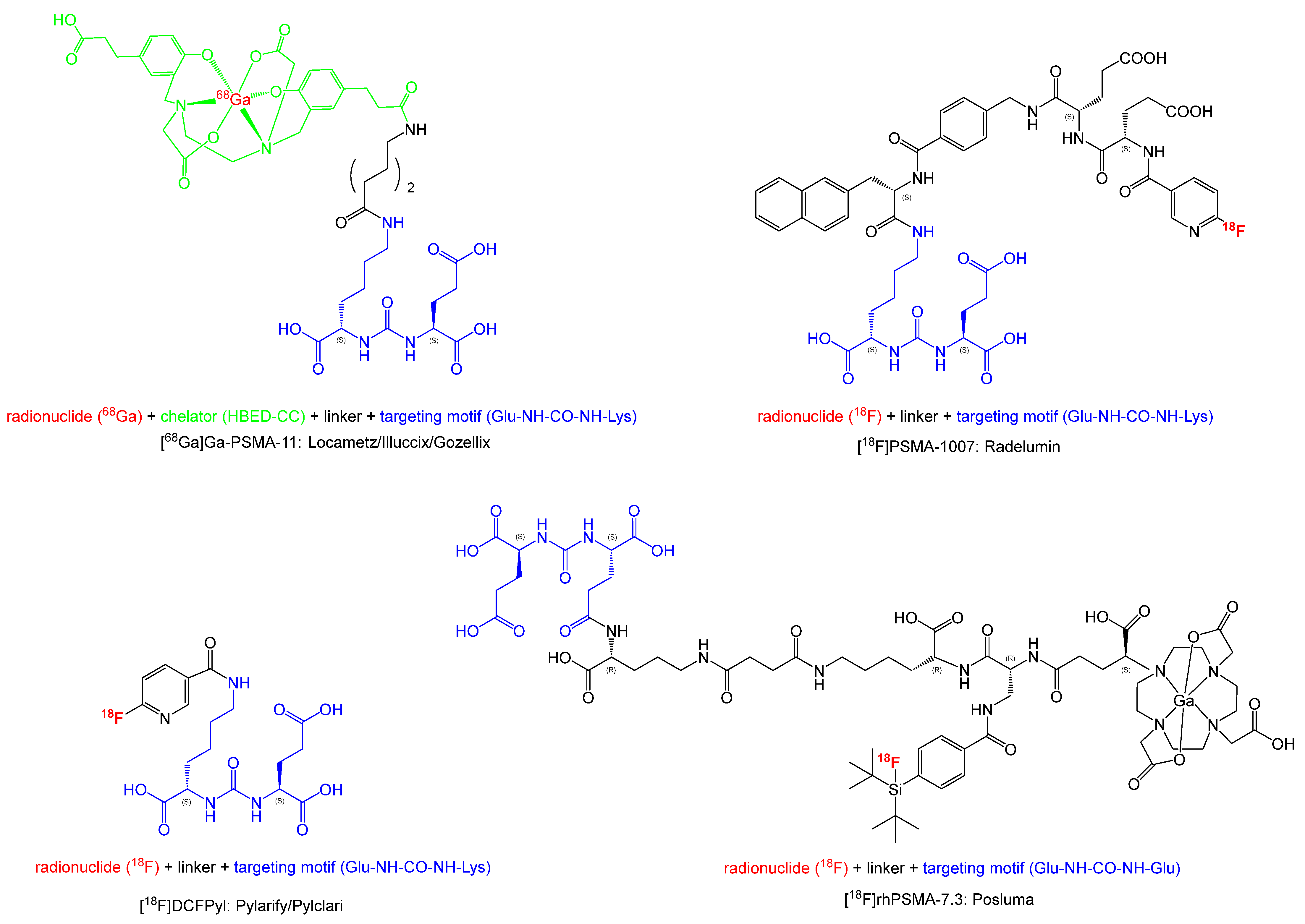 Pharmaceuticals 18 00906 g001