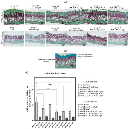 Pharmaceuticals 18 00907 g004