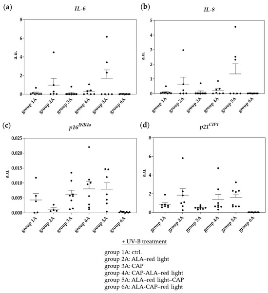 Pharmaceuticals 18 00907 g008