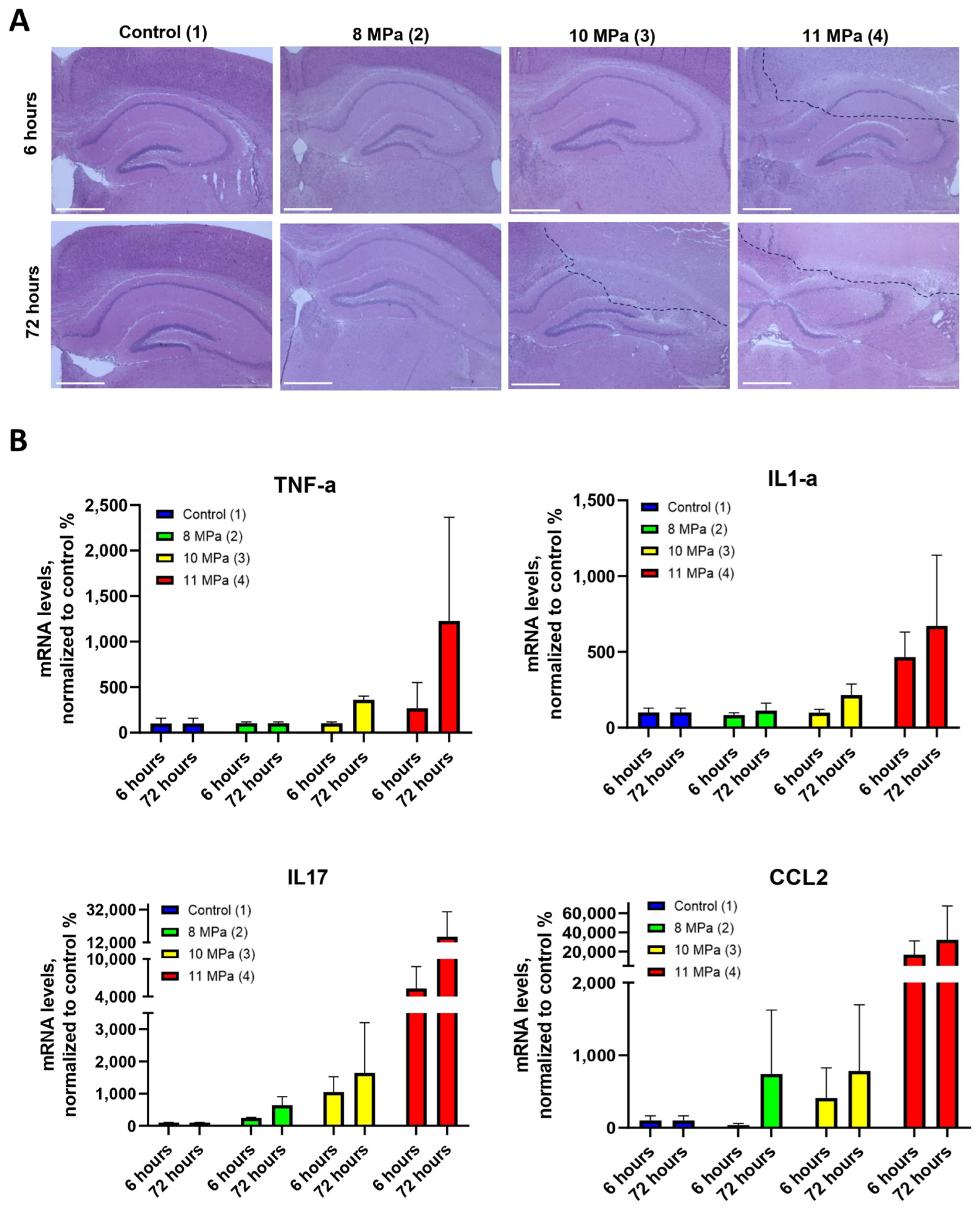 Pharmaceuticals 18 00910 g004