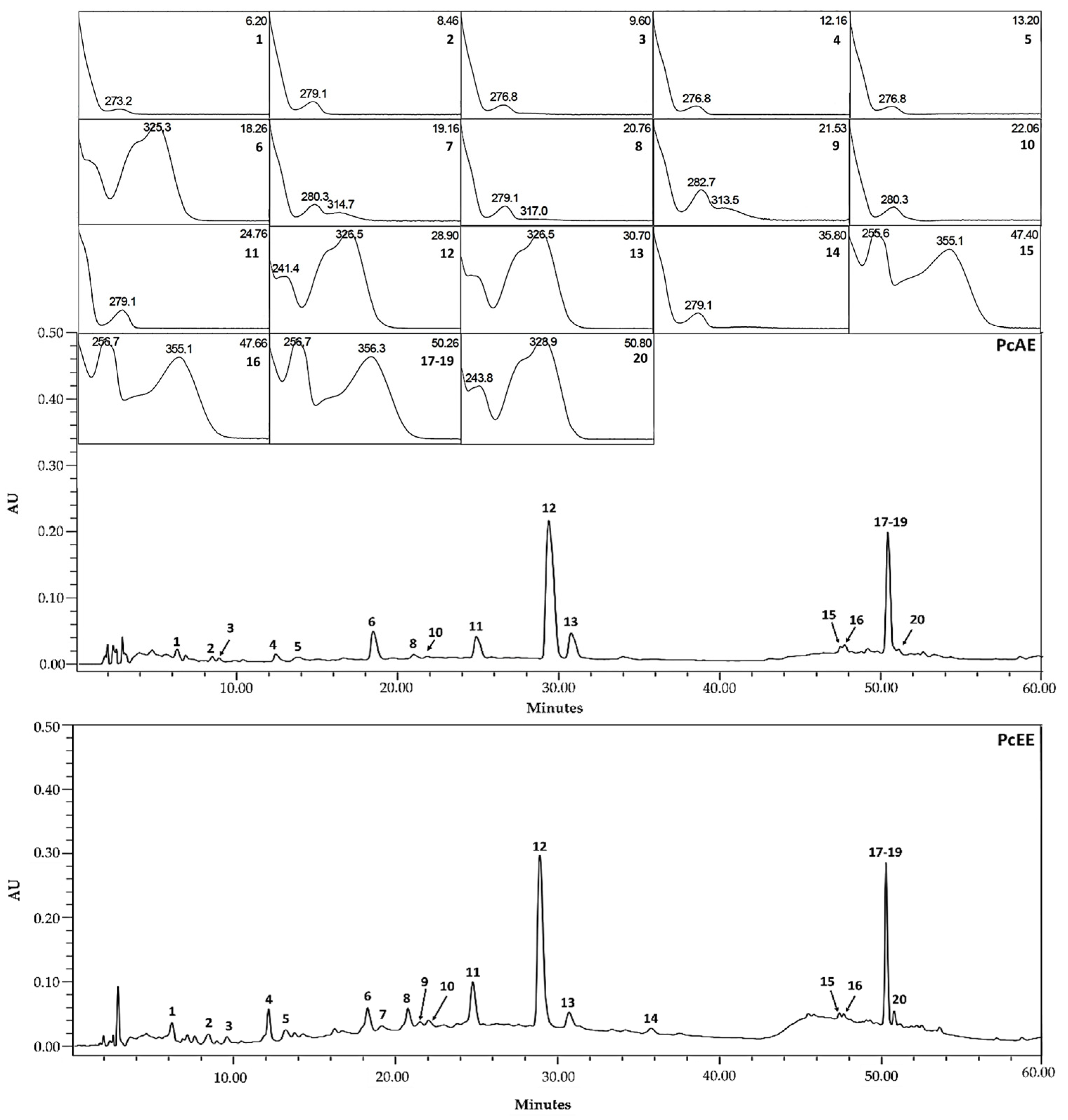 Pharmaceuticals 18 00913 g001