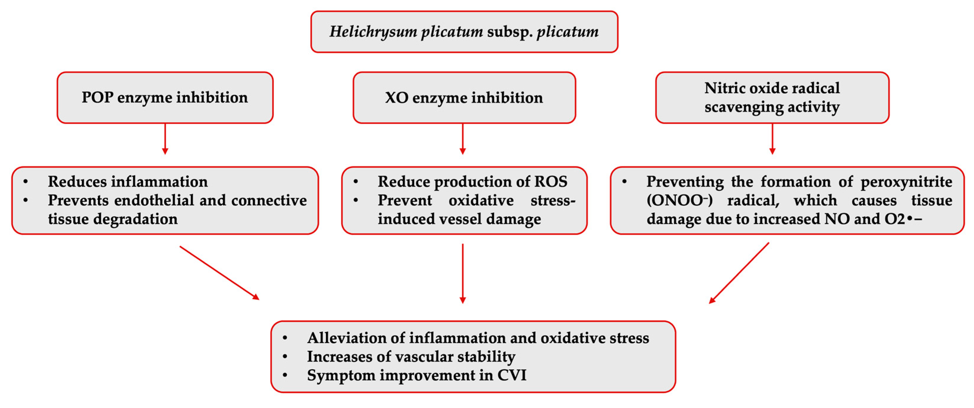 Pharmaceuticals 18 00926 g007