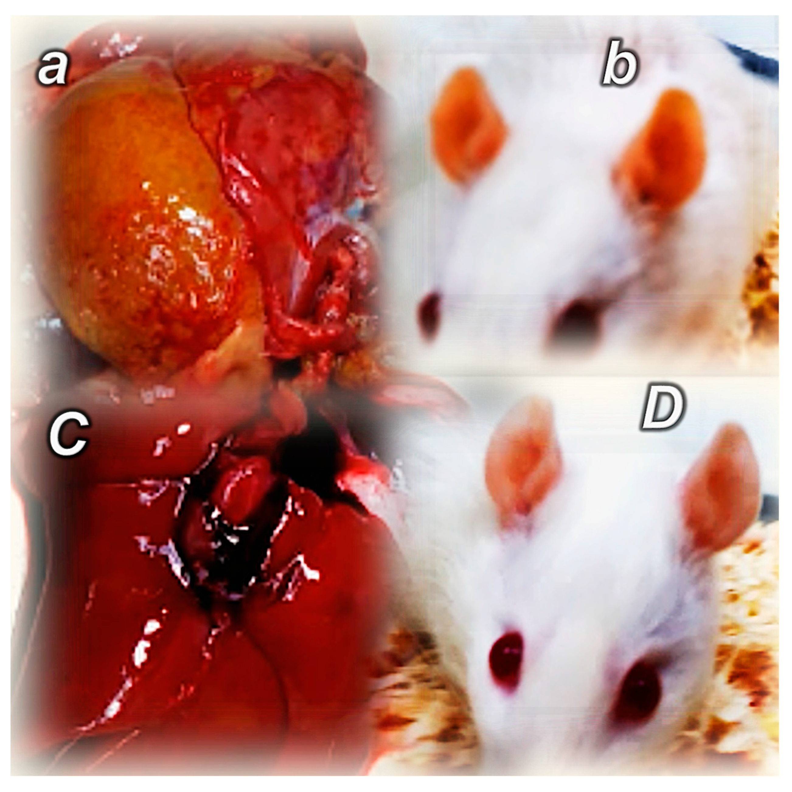 Pharmaceuticals 18 00928 g002