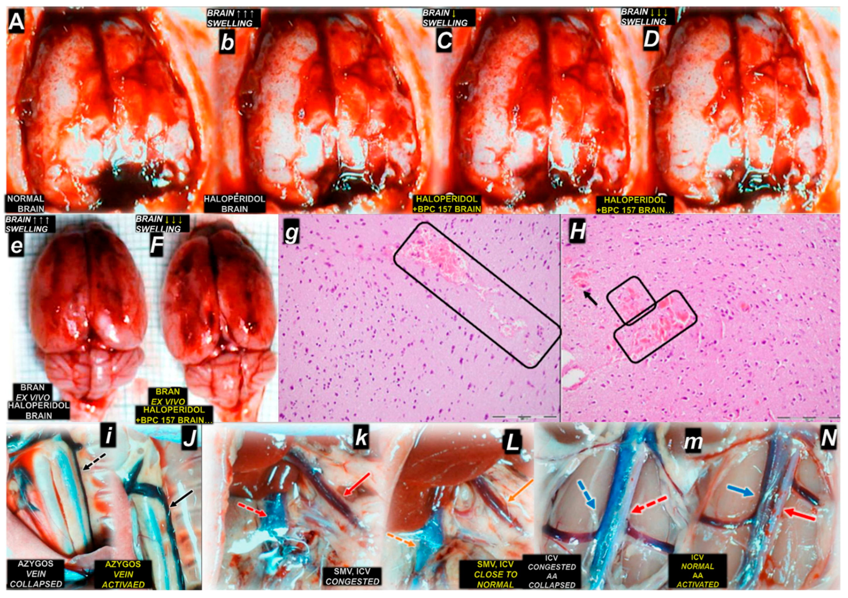 Pharmaceuticals 18 00928 g003
