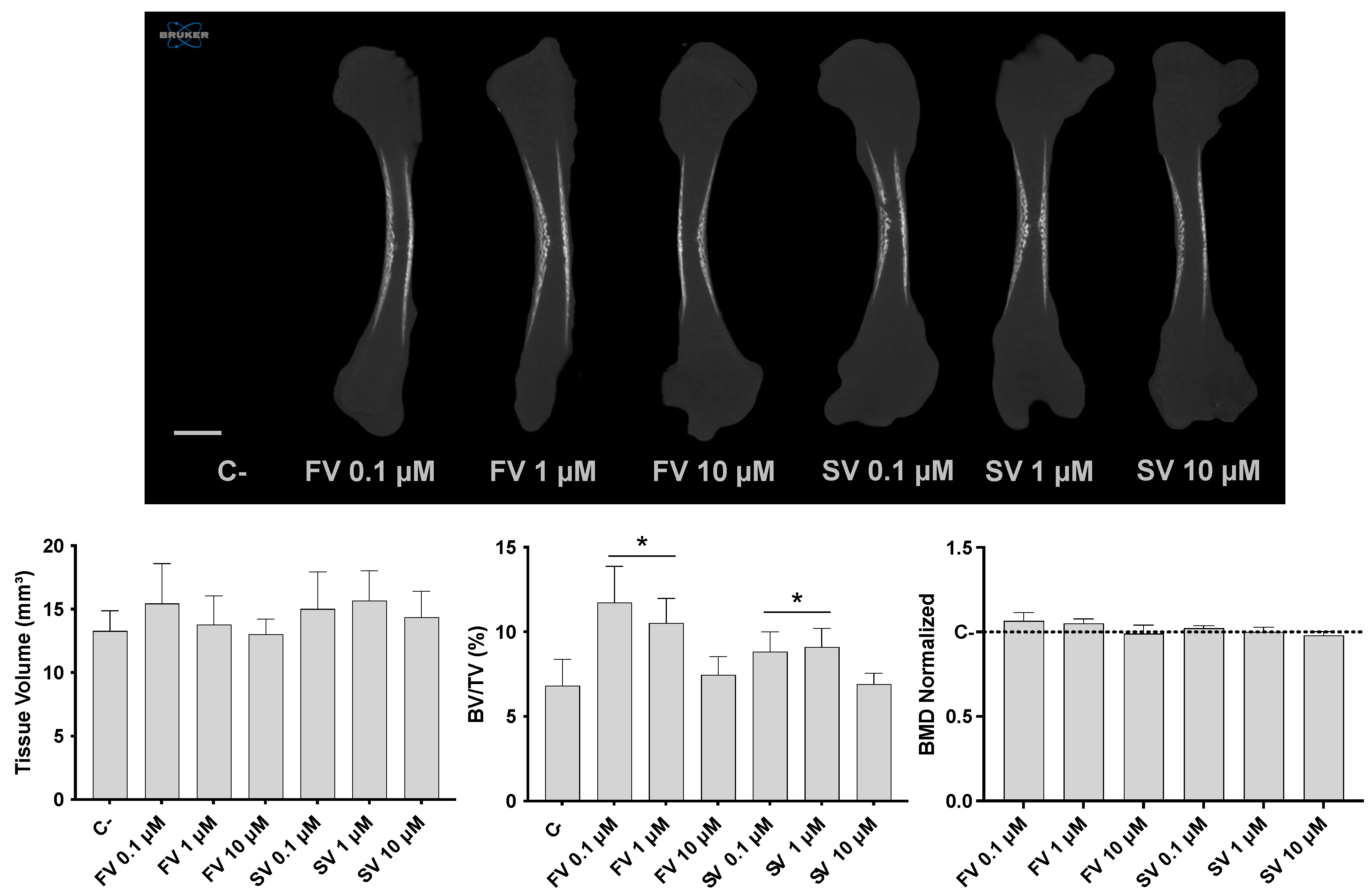 Pharmaceuticals 18 00939 g001