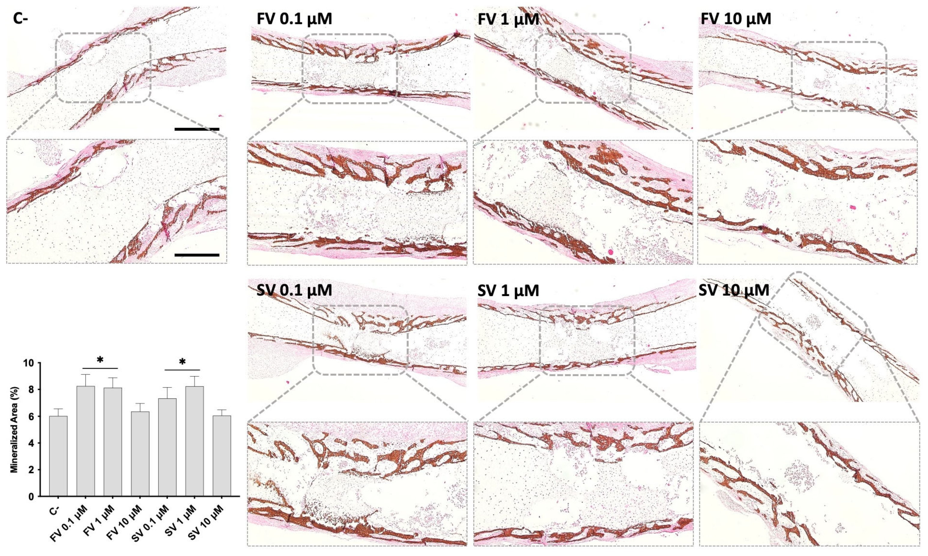 Pharmaceuticals 18 00939 g003