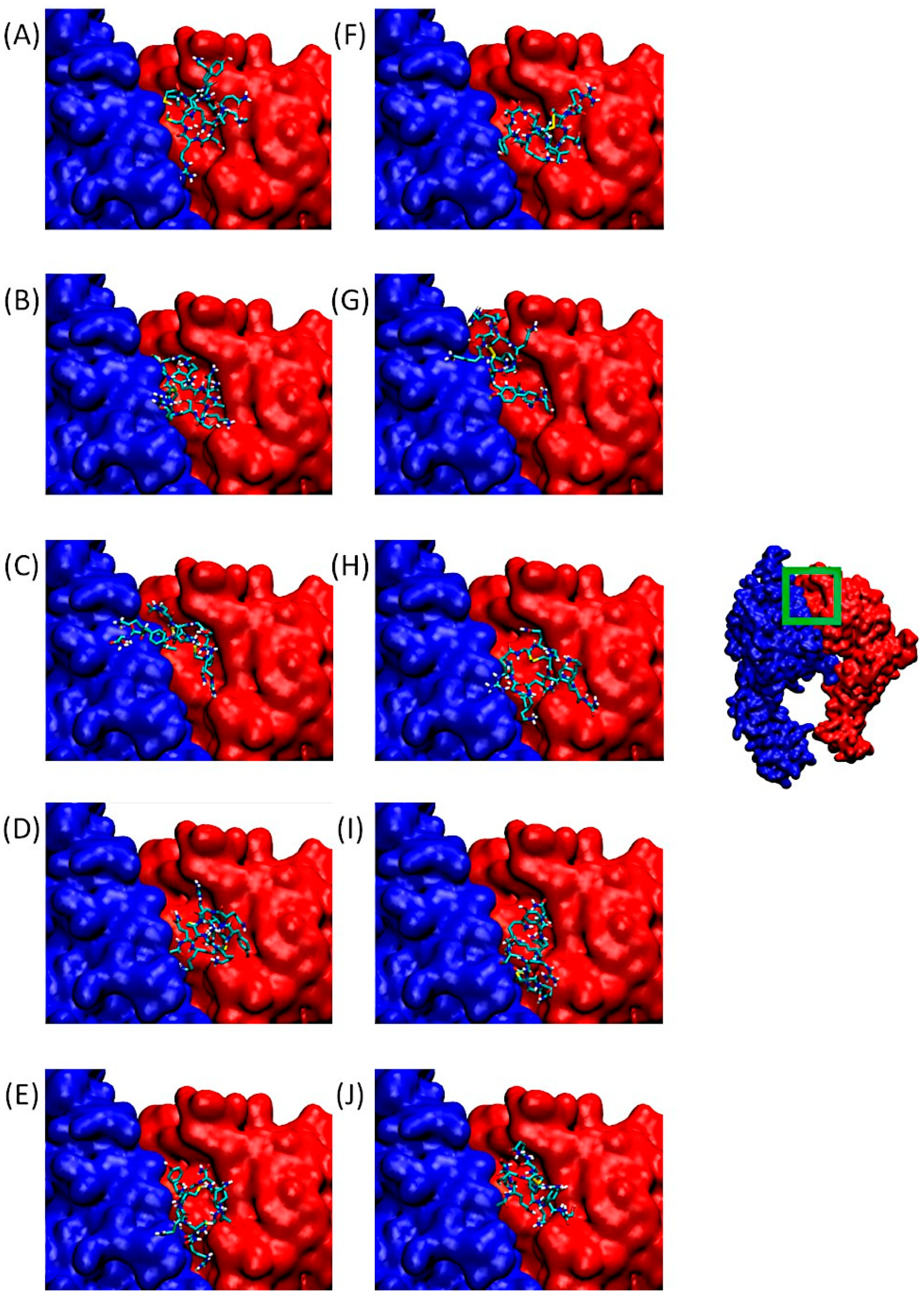 Pharmaceuticals 18 00940 g004