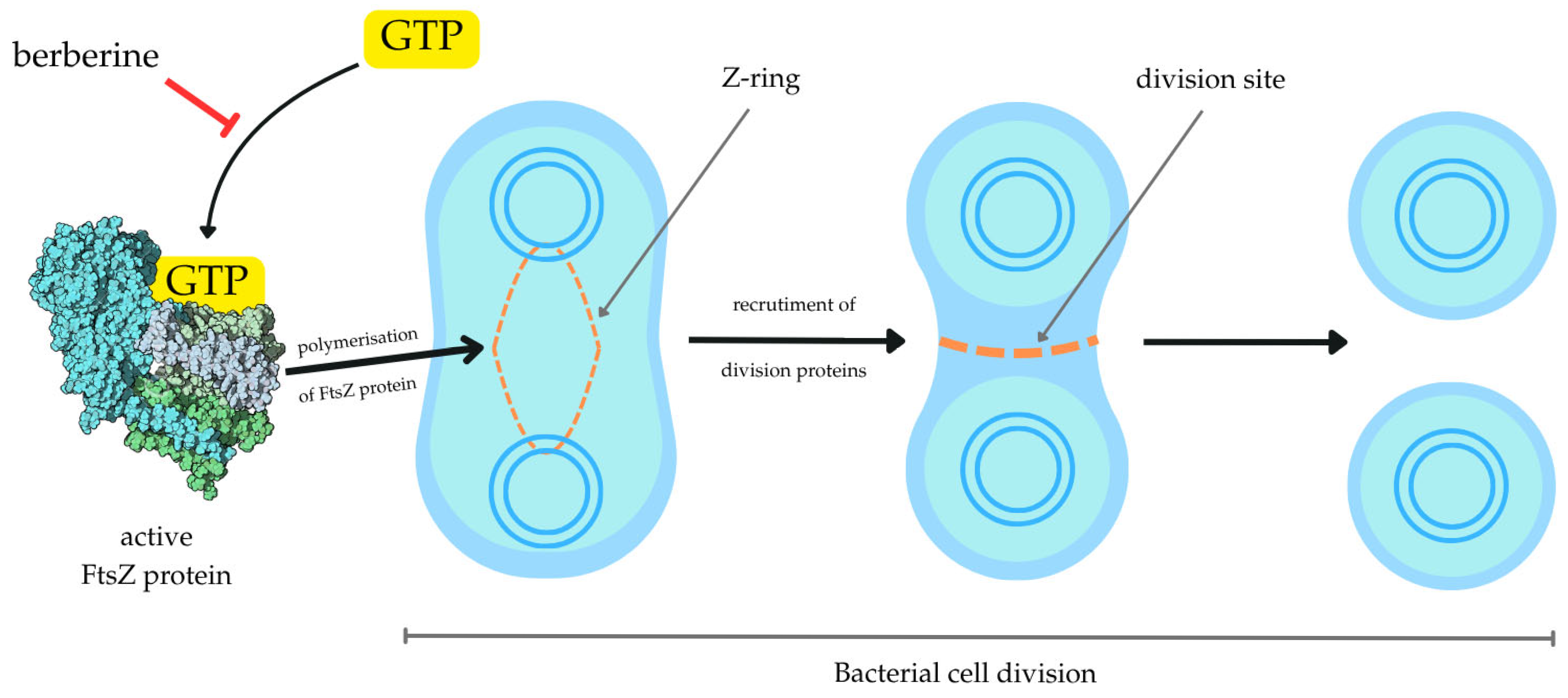 Pharmaceuticals 18 00947 g004