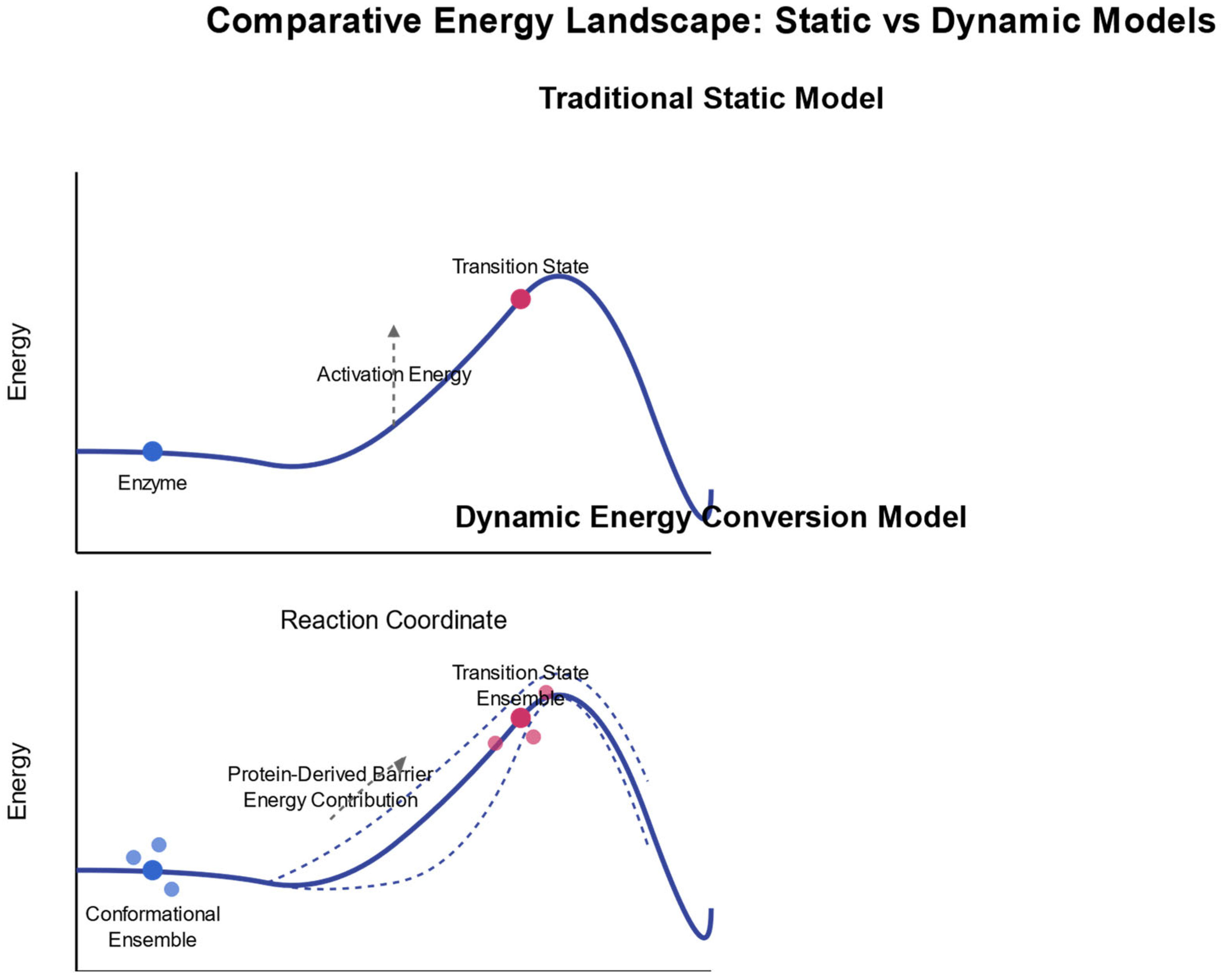 Pharmaceuticals 18 00951 g001