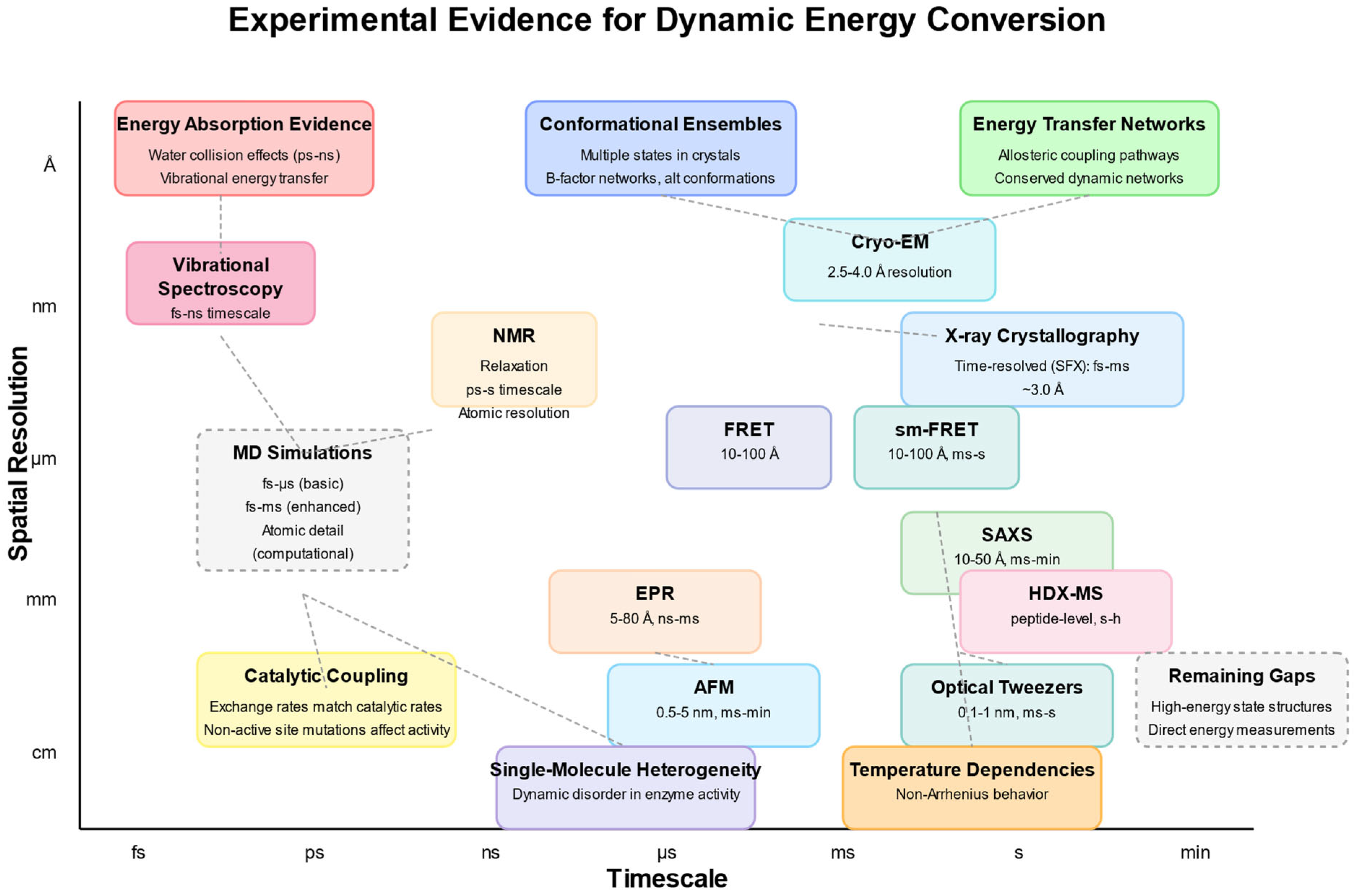 Pharmaceuticals 18 00951 g002