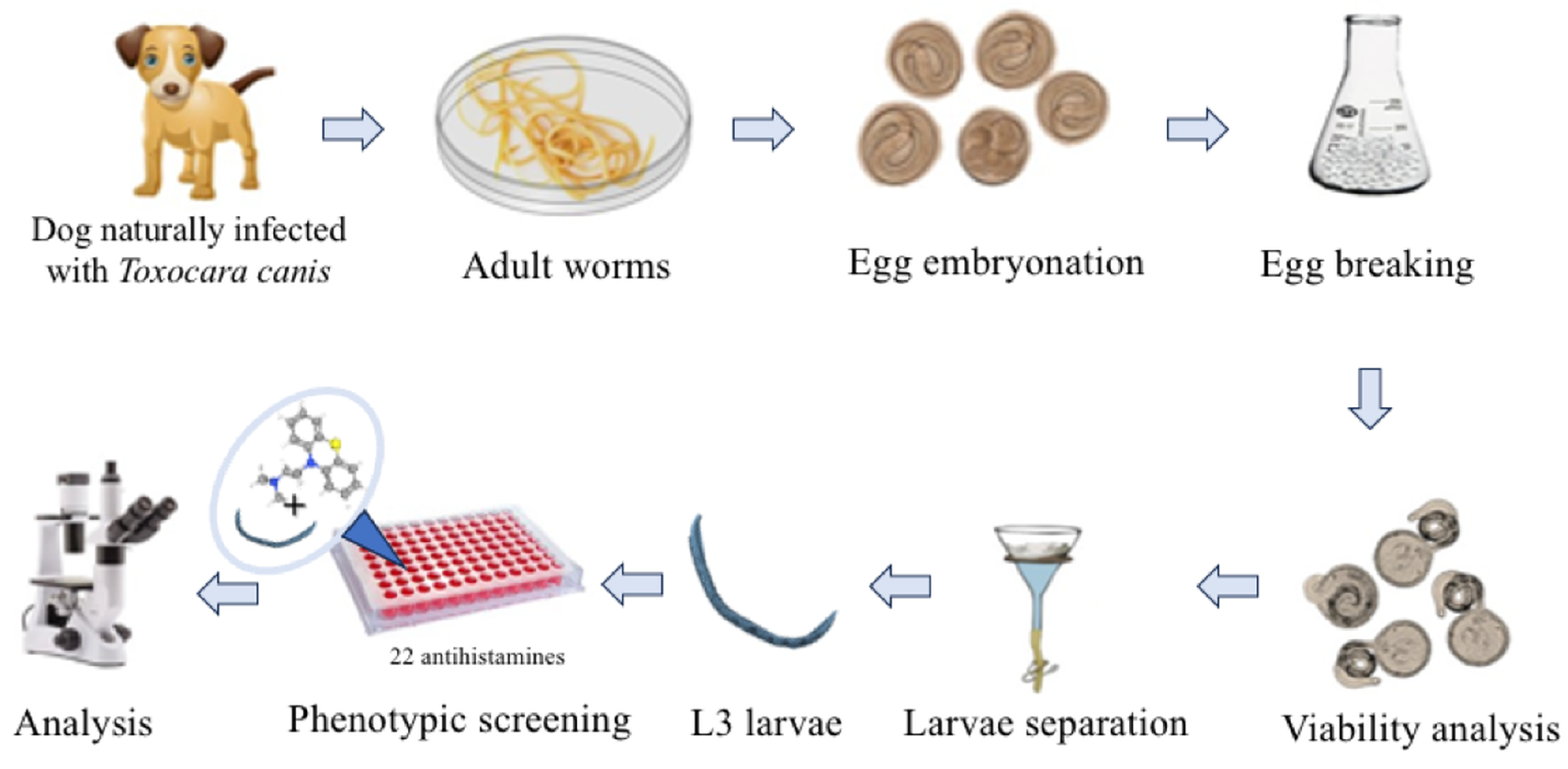 Pharmaceuticals 18 00997 g002