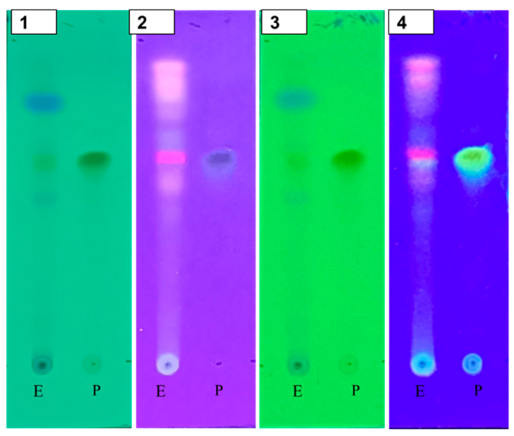 Pharmaceuticals 18 01001 g002